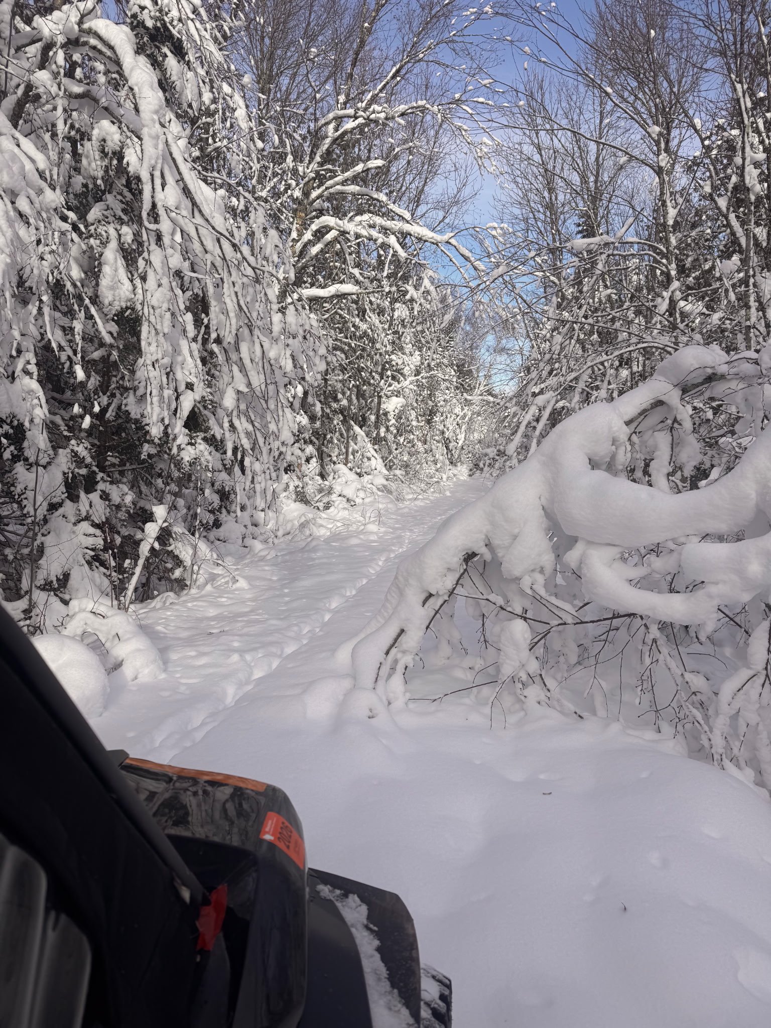 Heavy snow means lots of brushing
