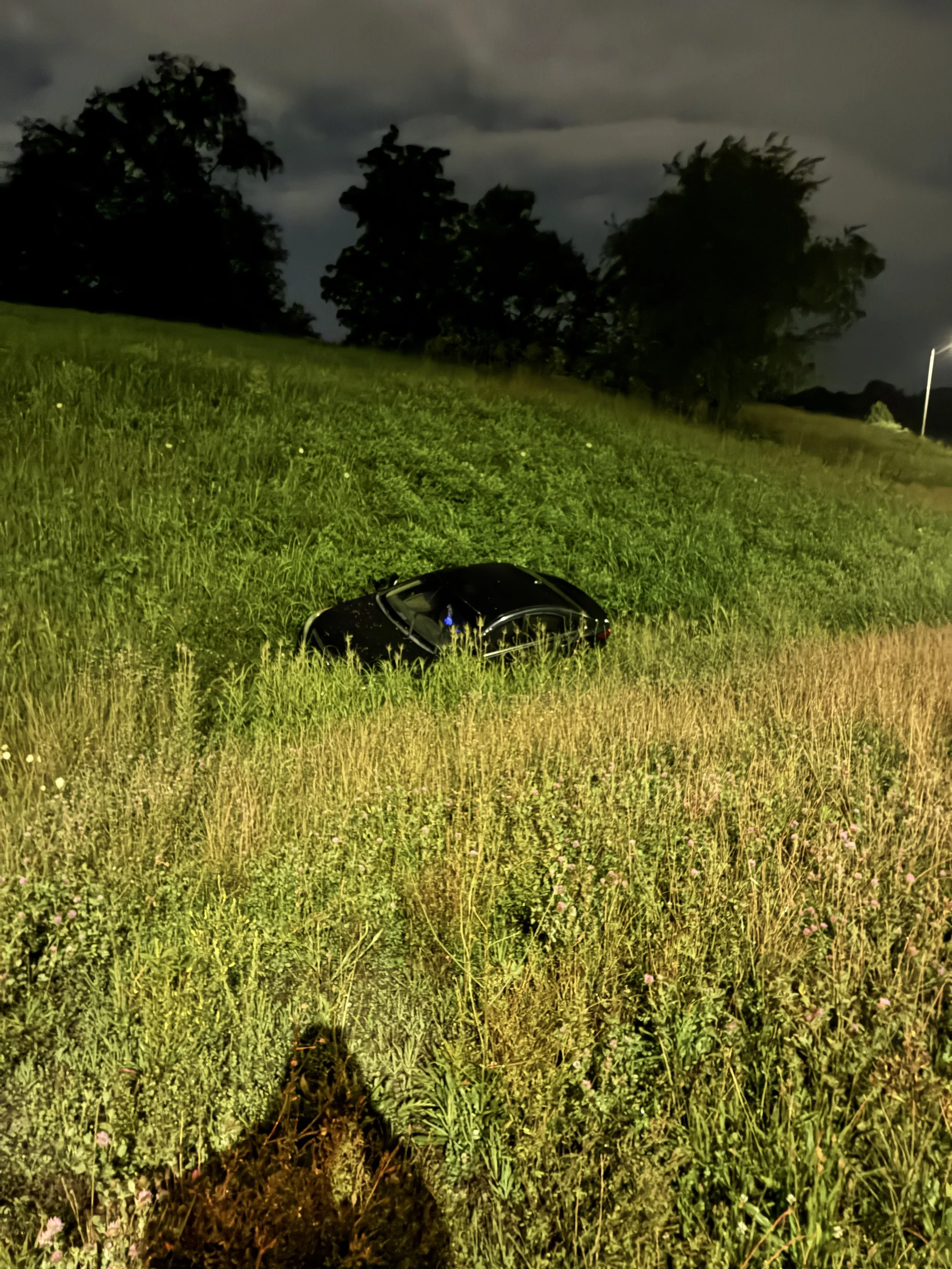 Nighttime scene of grassy field with trees in the background, illuminated by artificial light, and a patch of disturbed soil in the foreground. There is a street lamp on the right side of the image.