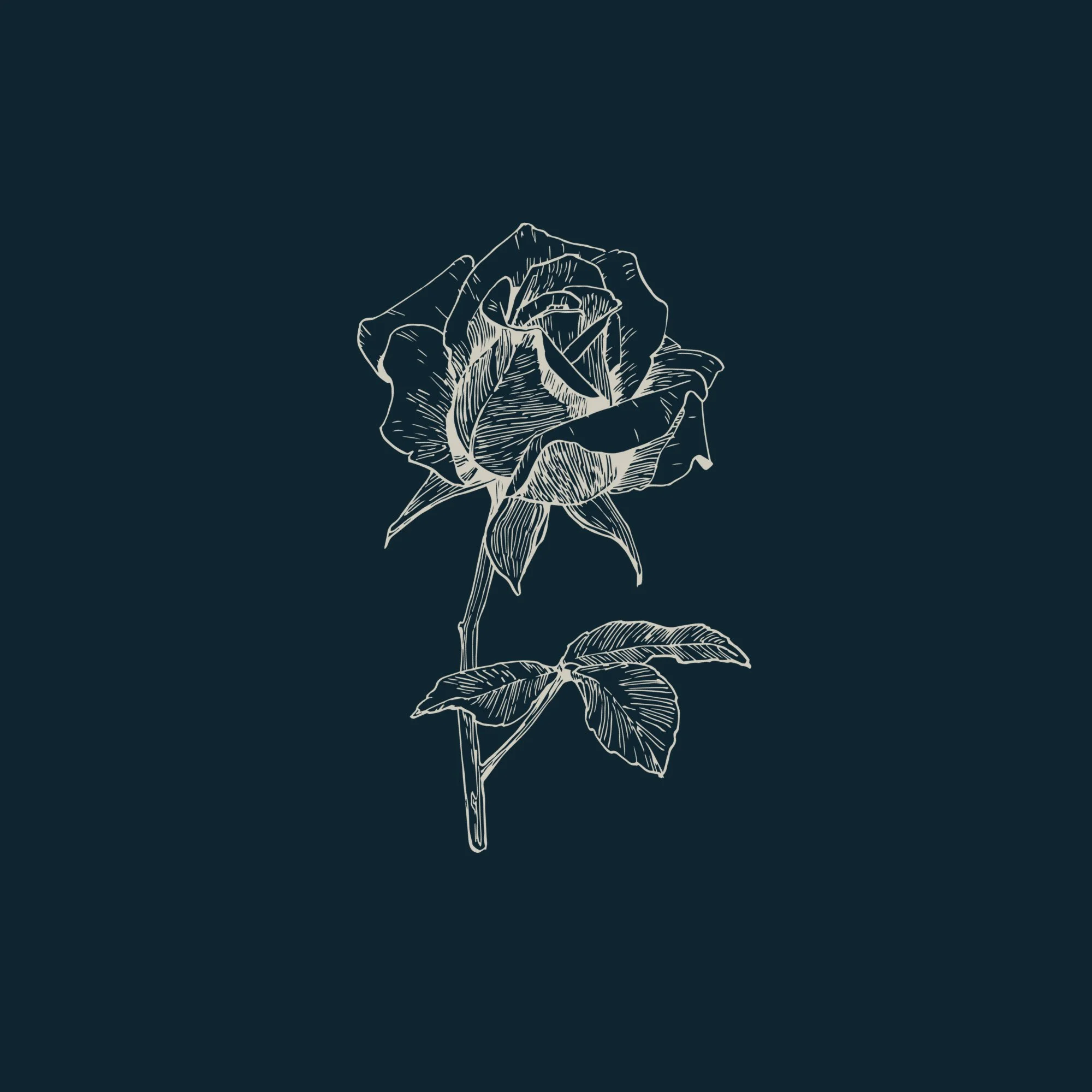 This is The Rose Edit