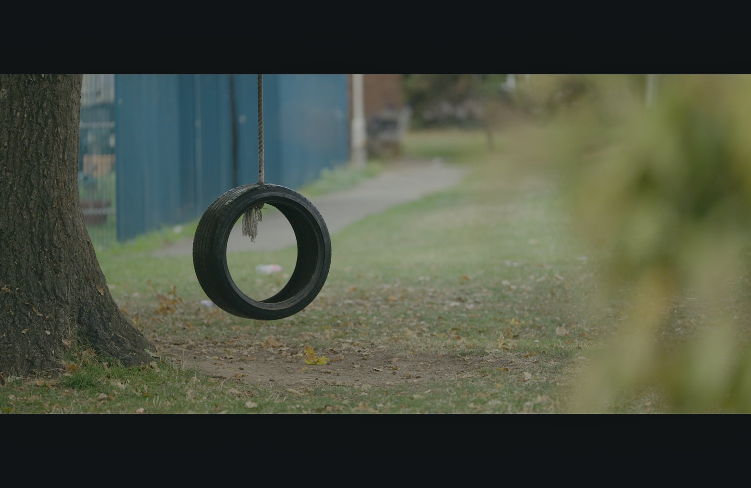 A black tire swing hanging from a tree branch in a park with grass and leaves on the ground.