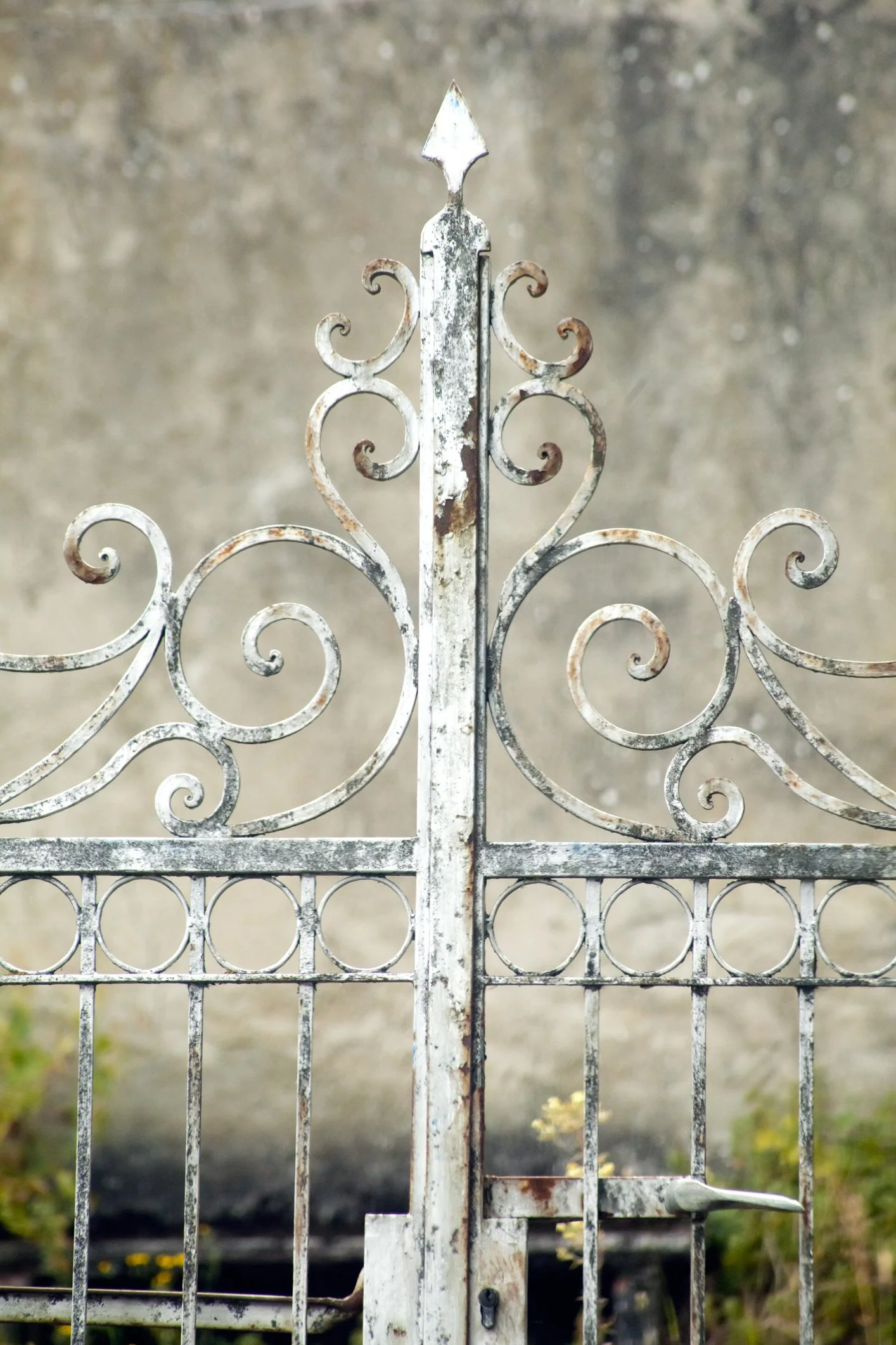 Close-up of an old, weathered white iron gate with ornate swirling designs, showing rust and peeling paint, against a blurred outdoor background.