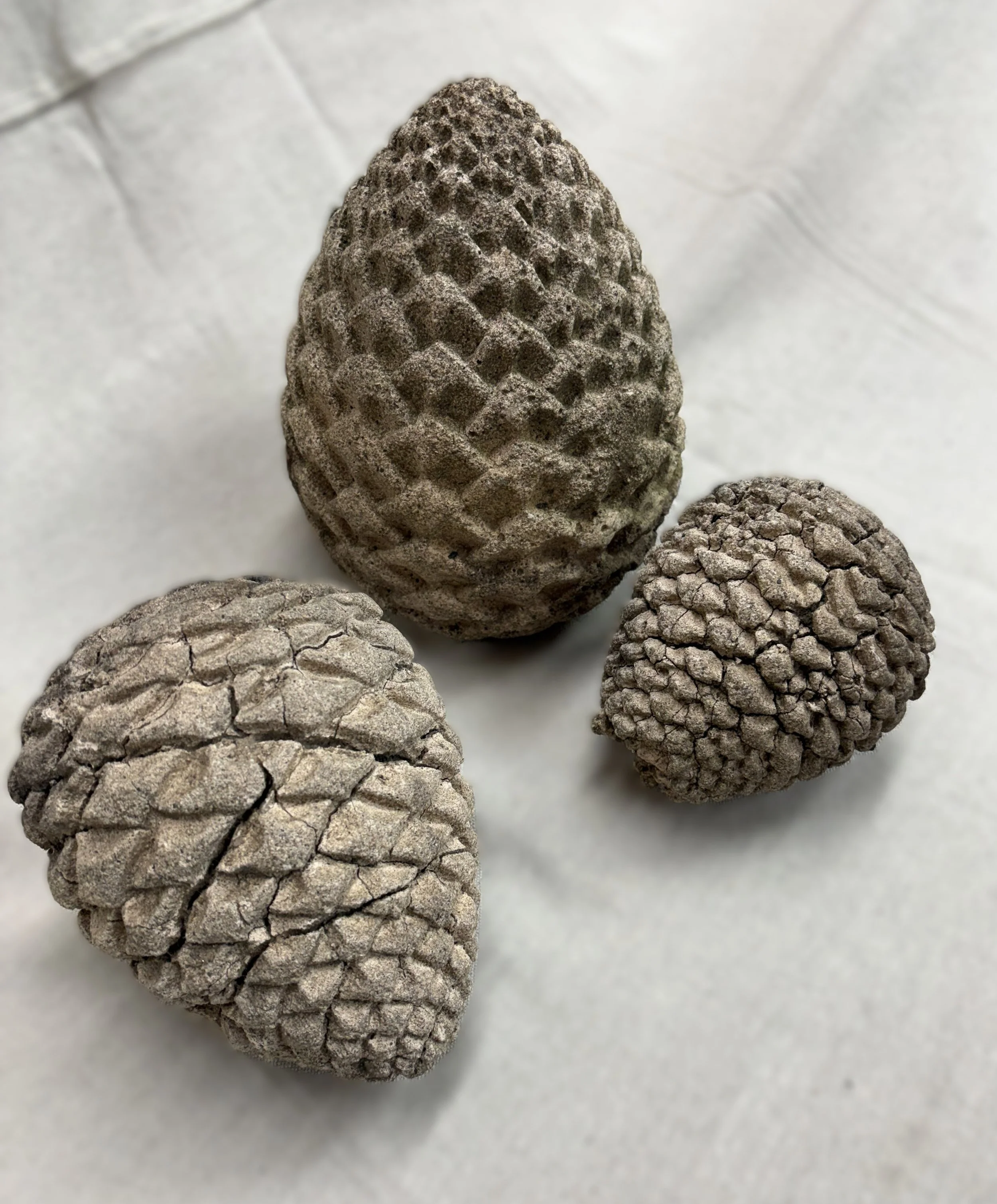 pinecones, blur.jpg