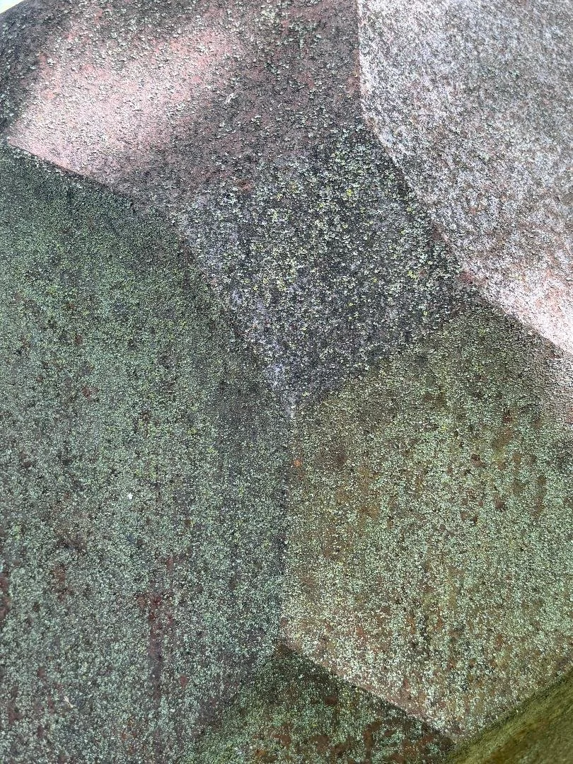 Close-up photograph of a weathered, moss-covered brick wall with patches of lichen and dirt.