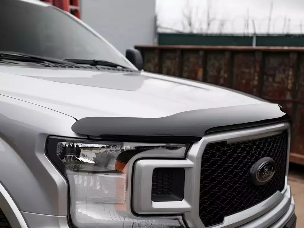 Close-up of the front of a silver Ford pickup truck with a black bug deflector on the hood, parked outdoors with a wooden fence and overcast sky in the background.
