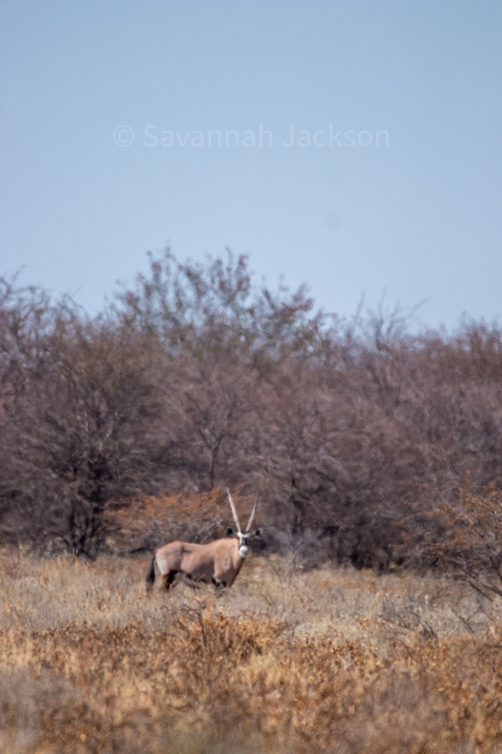 A lone figure in a dry and endless landscape.