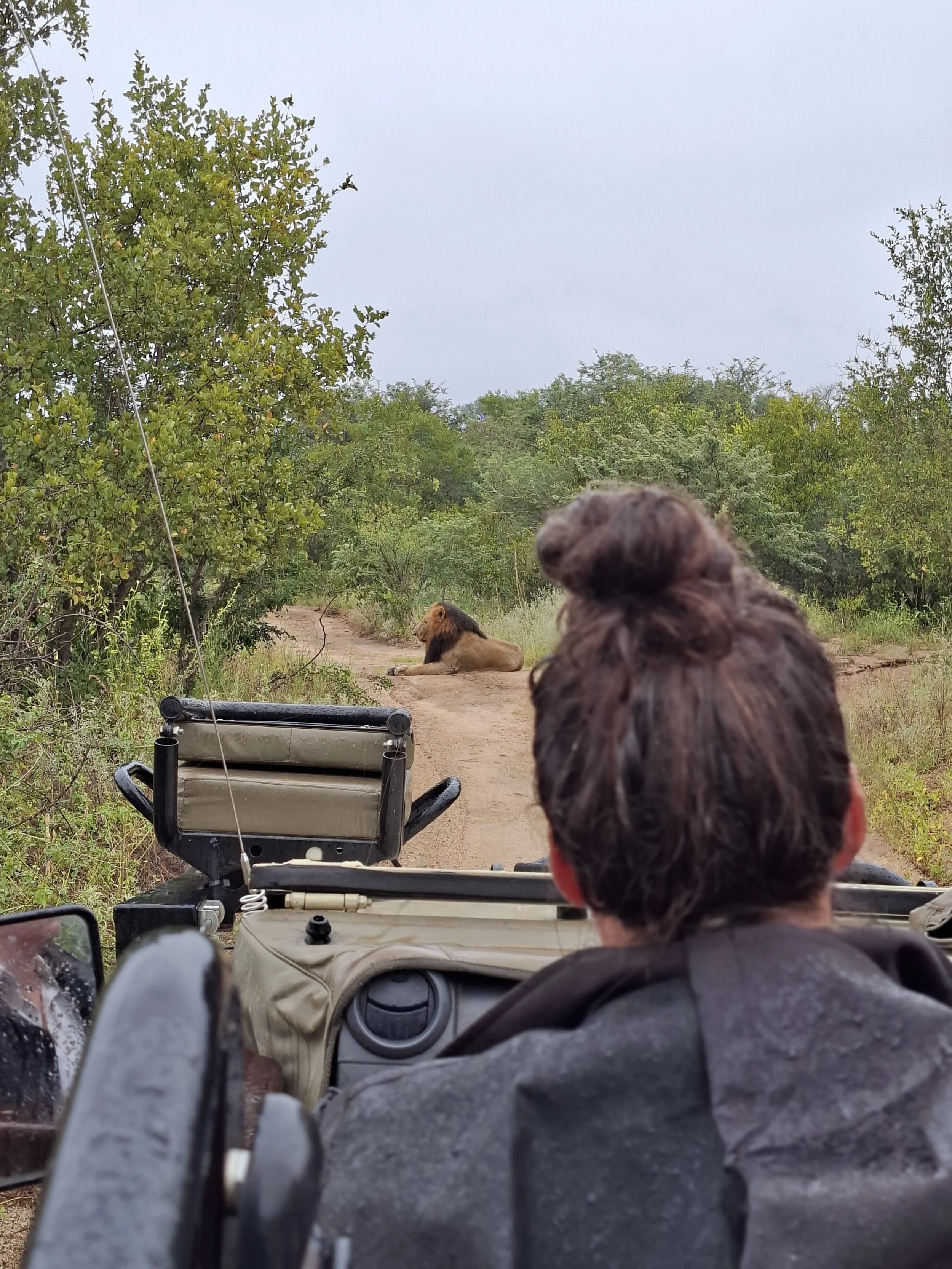 Small Steps Into the Wild: