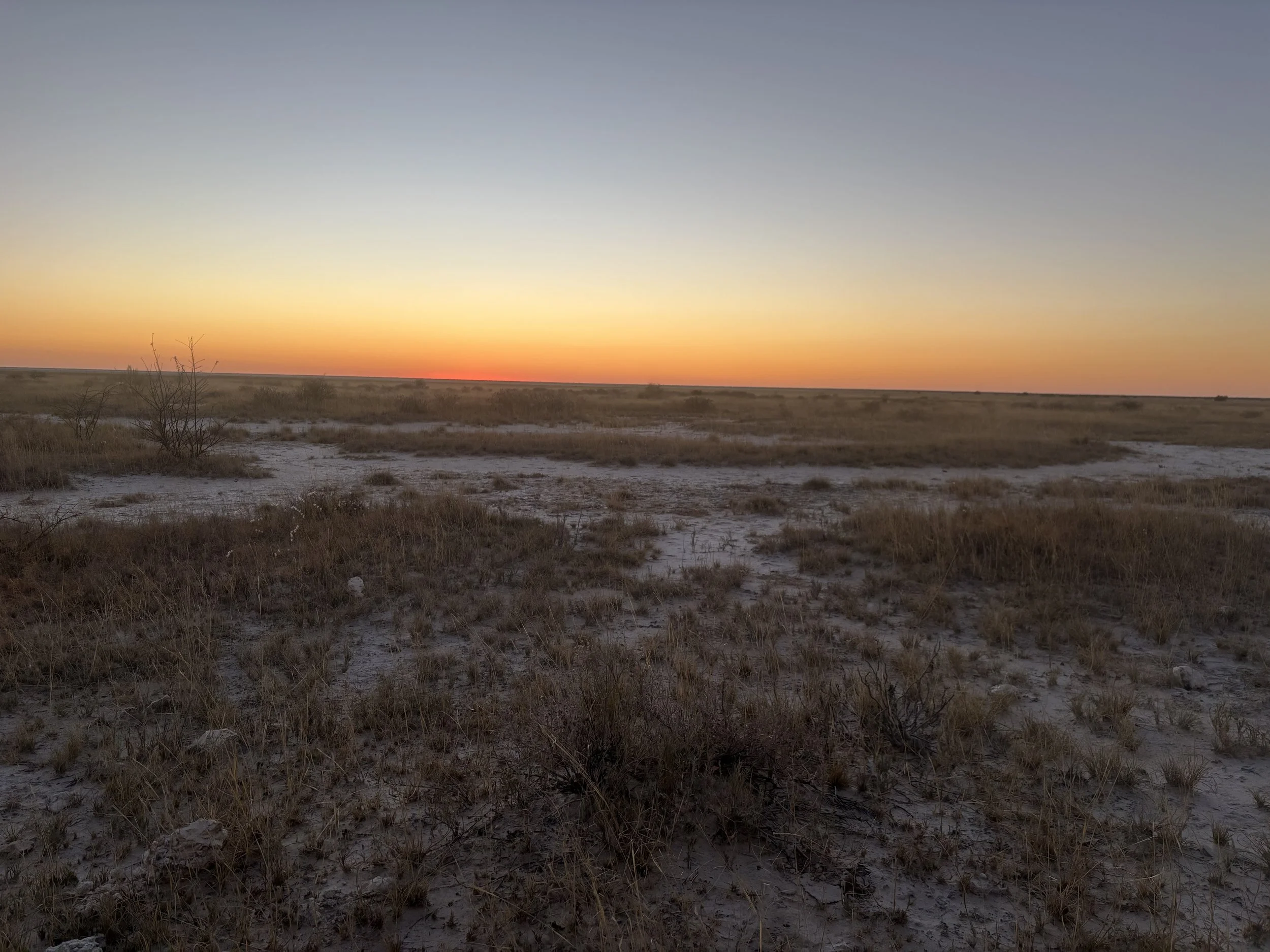 The Bush Is Rarely Empty