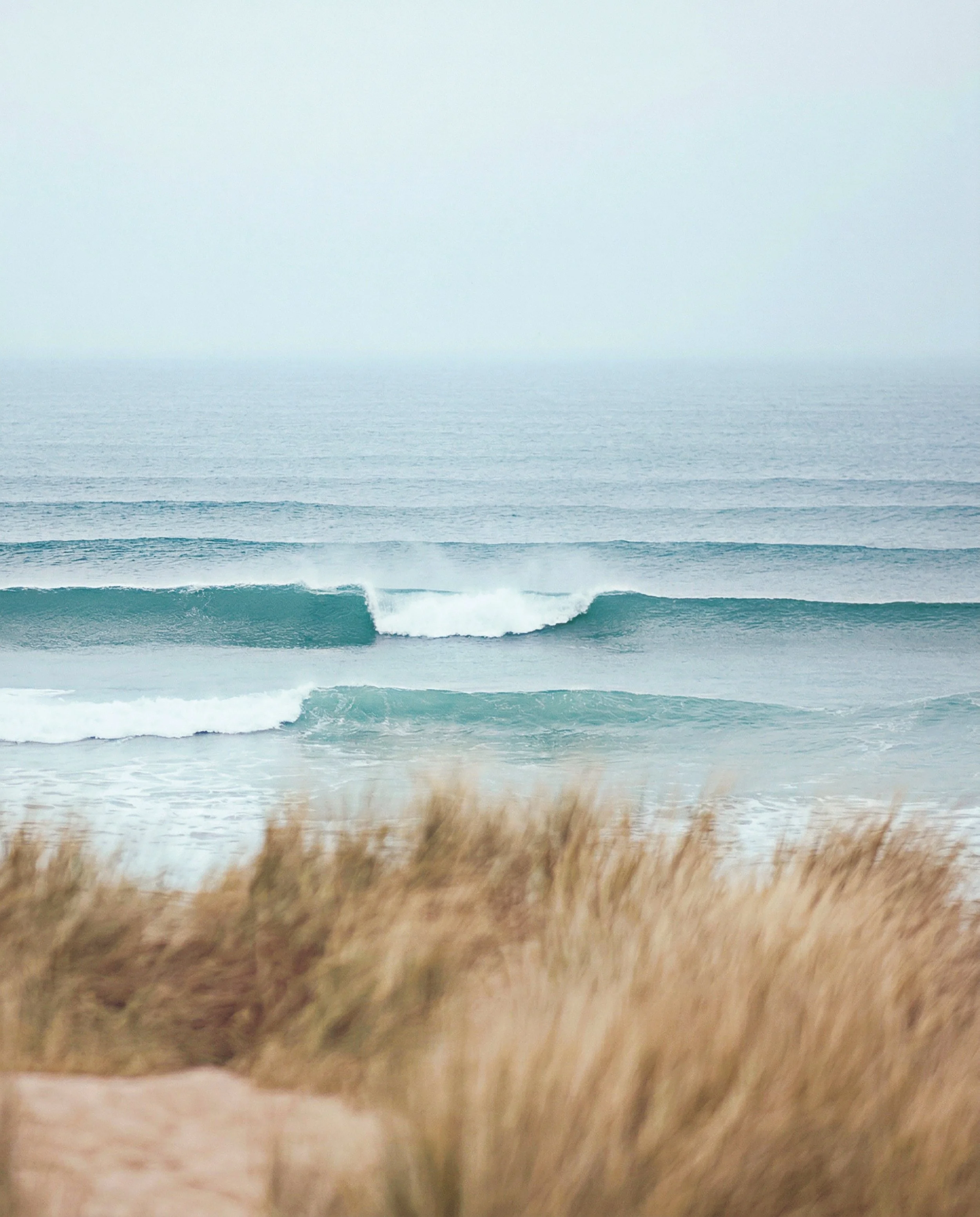 Nature-VV-Ocean3.jpeg
