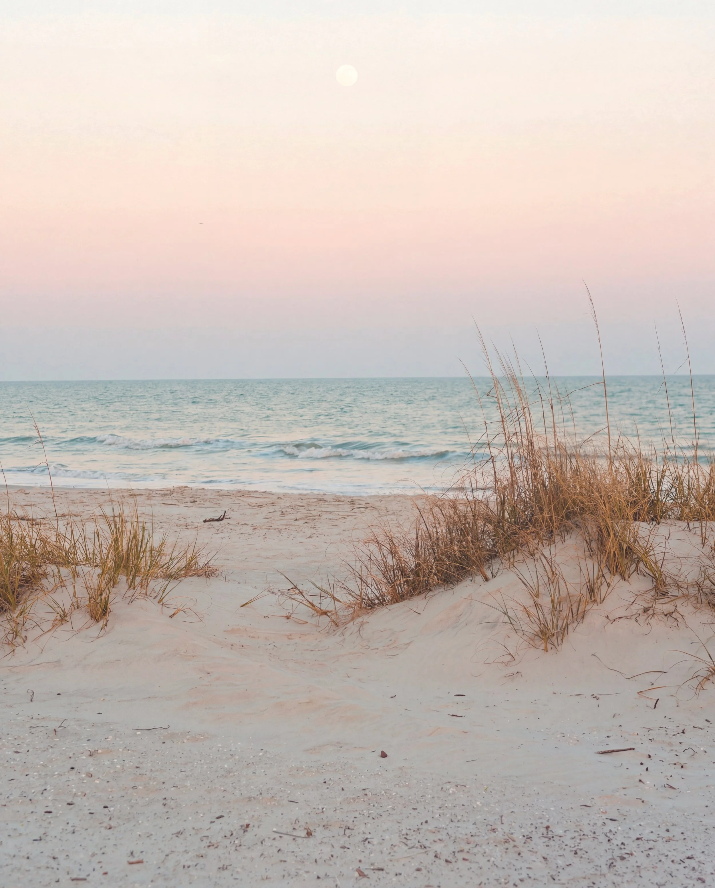 Nature-VV-Ocean2.jpg