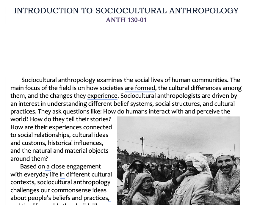 Syllabus Screenshot