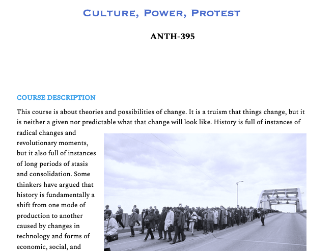 Syllabus screenshot