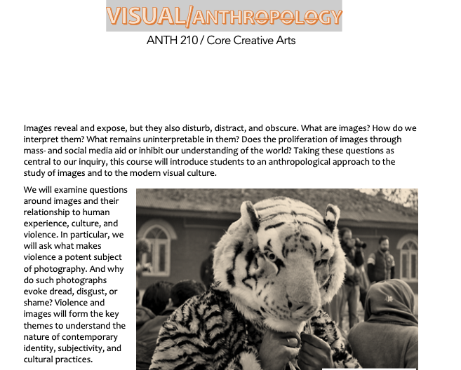 syllabus screenshot