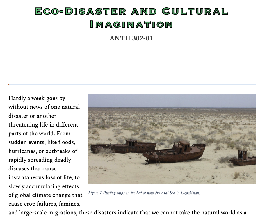 Syllabus screenshot