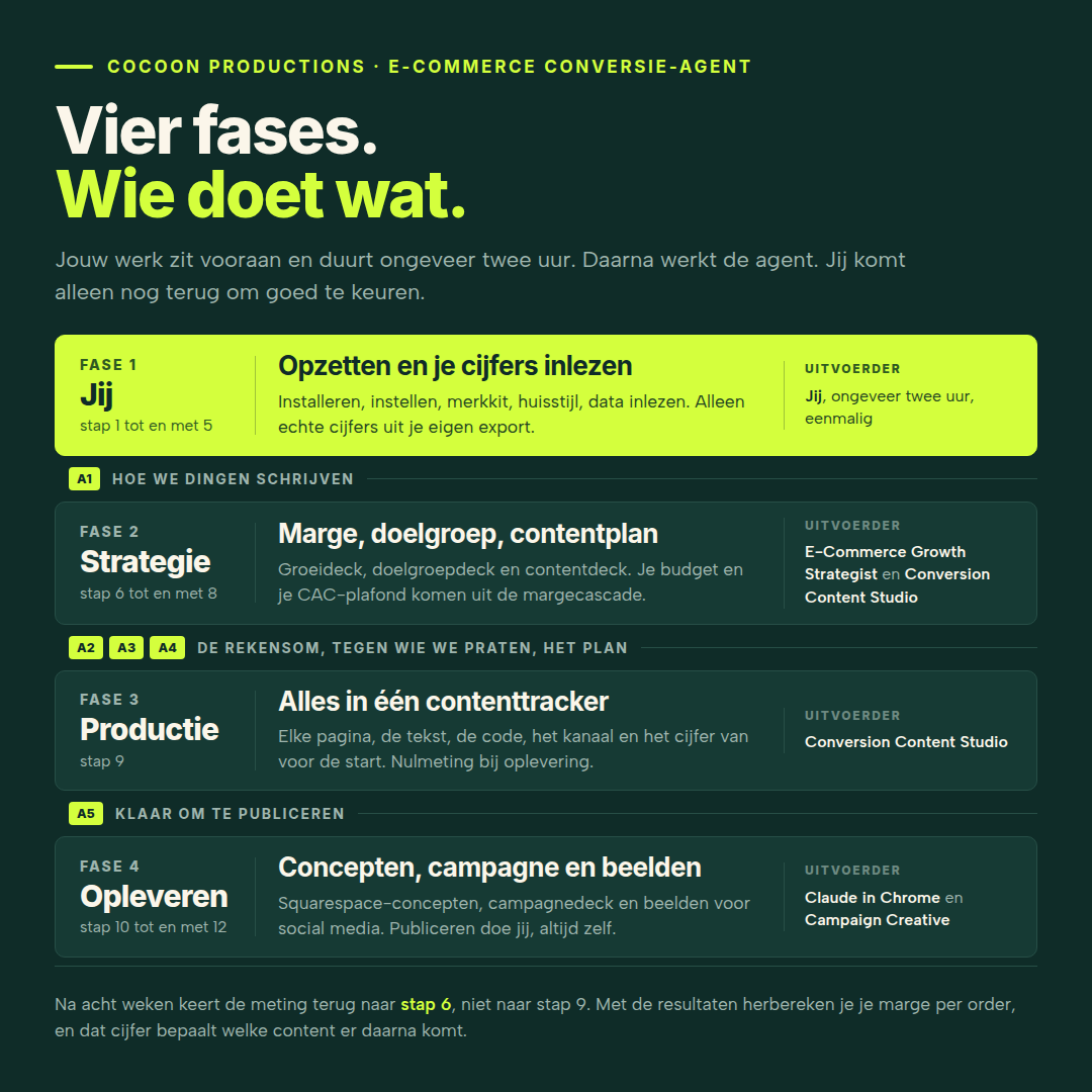 E-Commerce Conversion Agent Workflow (Squarespace)