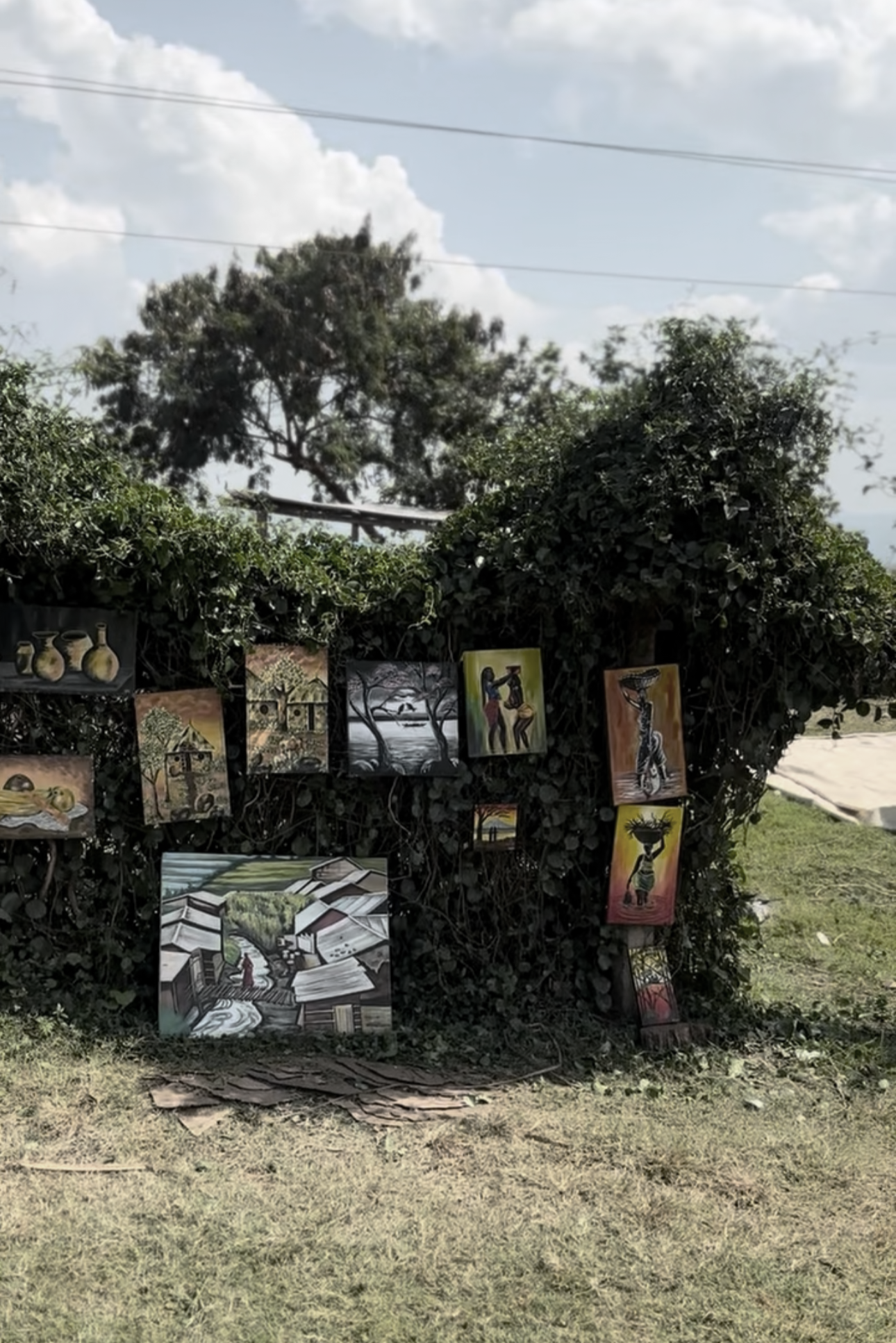 An outdoor art display with paintings hanging on a bush, featuring various slices of village life, landscapes, and people in traditional attire under a partly cloudy sky.