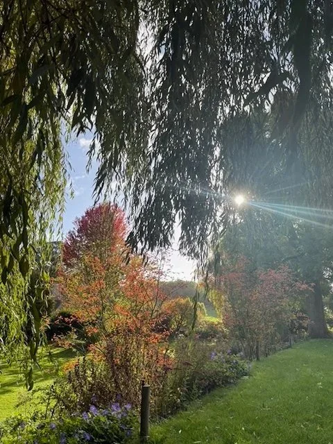 A serene garden scene with lush green trees, colorful autumn foliage, and a bright sun shining through the branches.