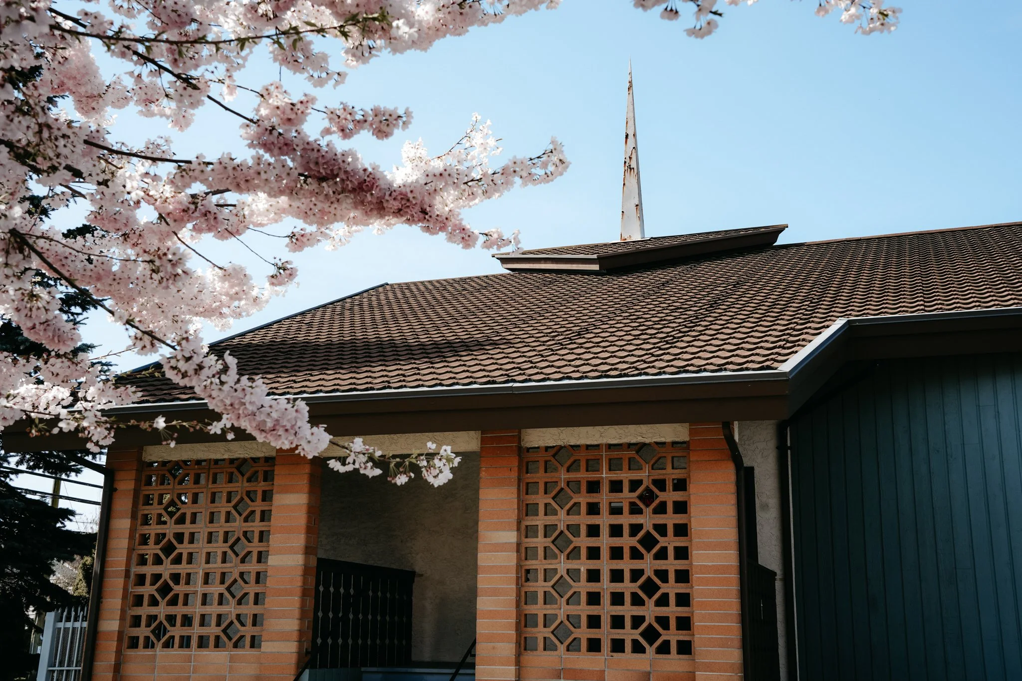 A house with a dark roof, brick walls, and decorative brickwork, partially obscured by blooming pink cherry blossom tree branches in the foreground, under a clear blue sky.
