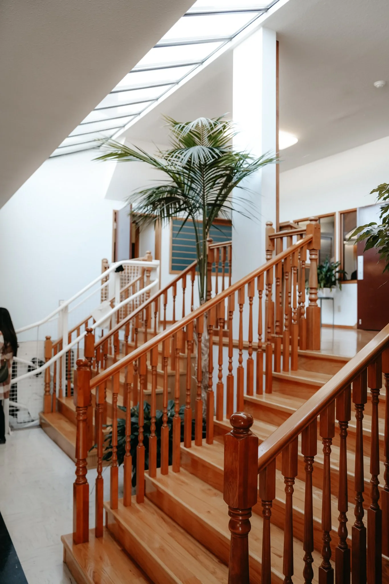 Interior view of a staircase with wooden railings and steps, large houseplant in the center, skylight above, and white walls with windows.