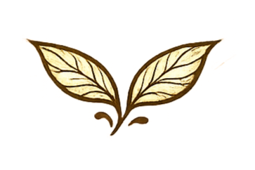 A butterfly with beige and brown wings on a yellow background