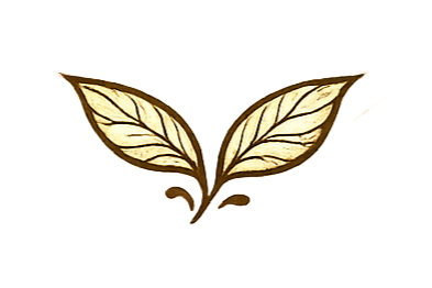 Illustration of butterfly wings with a leaf-like design pattern.