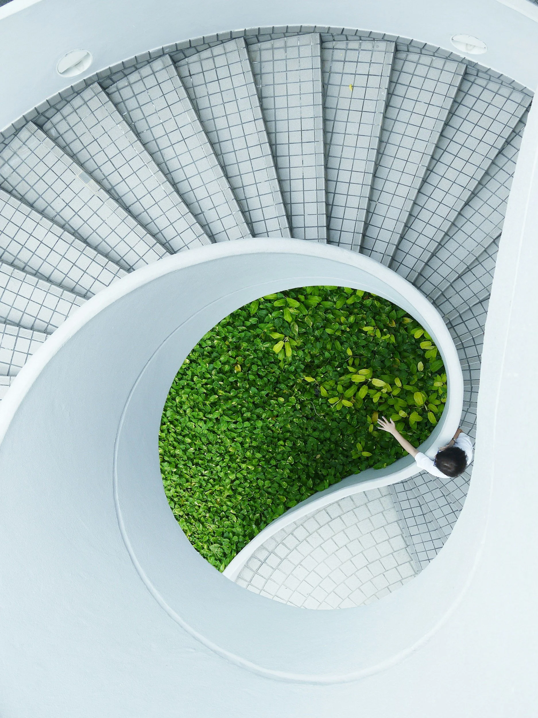 View from above of a spiral staircase with white tiles and a green plant in the center, with a person holding a hand on the lower right side.