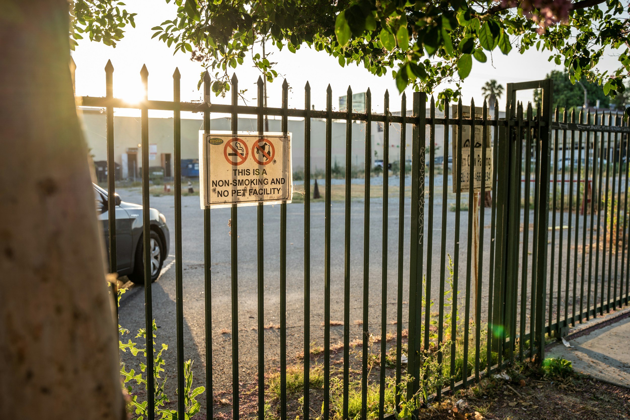A black metal fence with a sign indicating no smoking and no pets allowed, illuminated by sunlight, with trees and cars visible in the background.