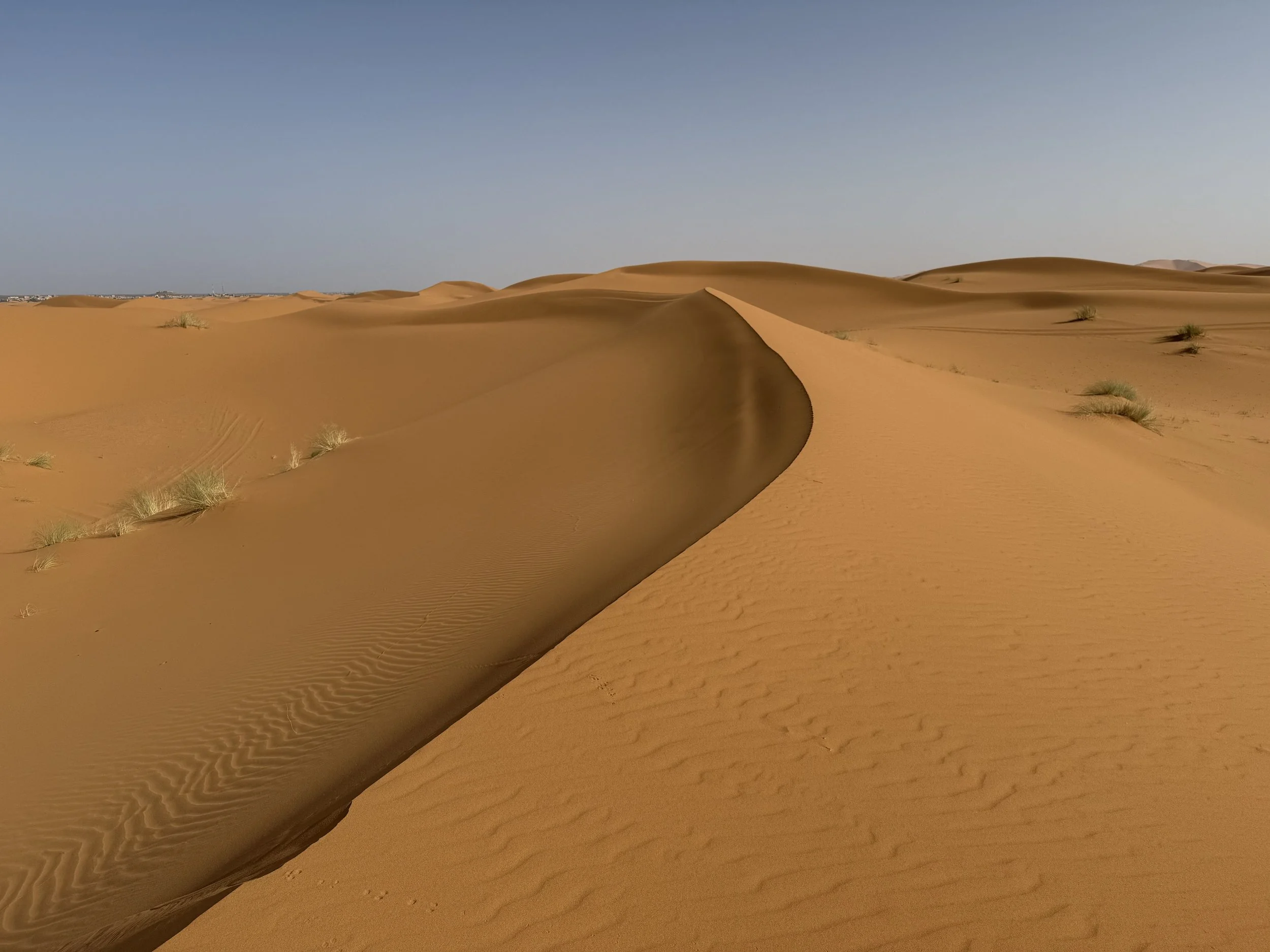 Expansive desert landscape with sand dunes, sparse desert plants, and a clear blue sky.