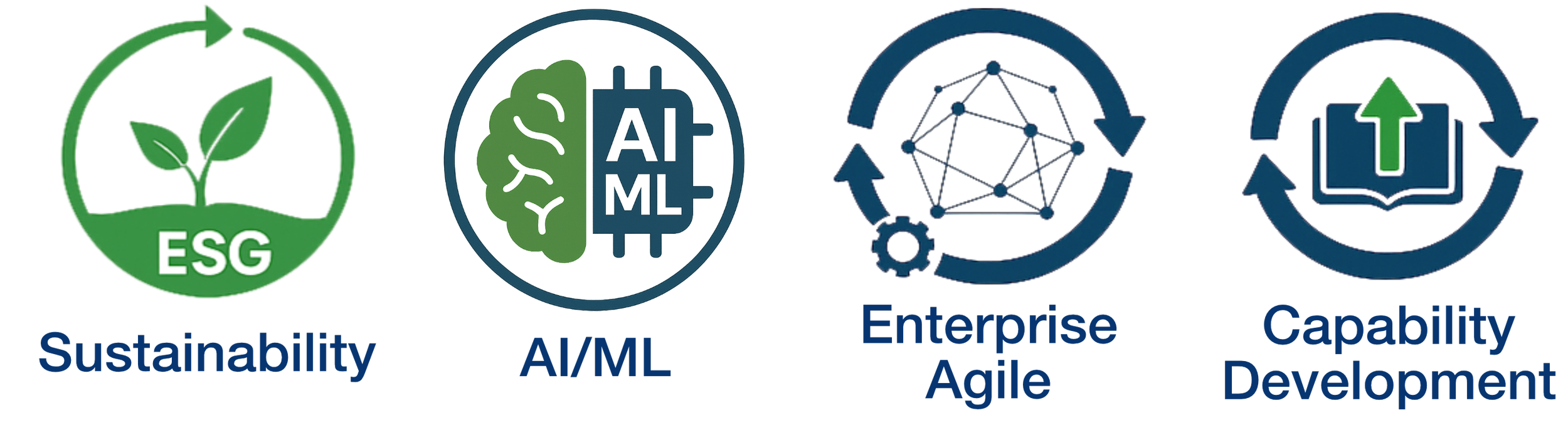 Service areas including ESG sustainability, AI-enabled capabilities and machine learning, enterprise agility, and capability development.