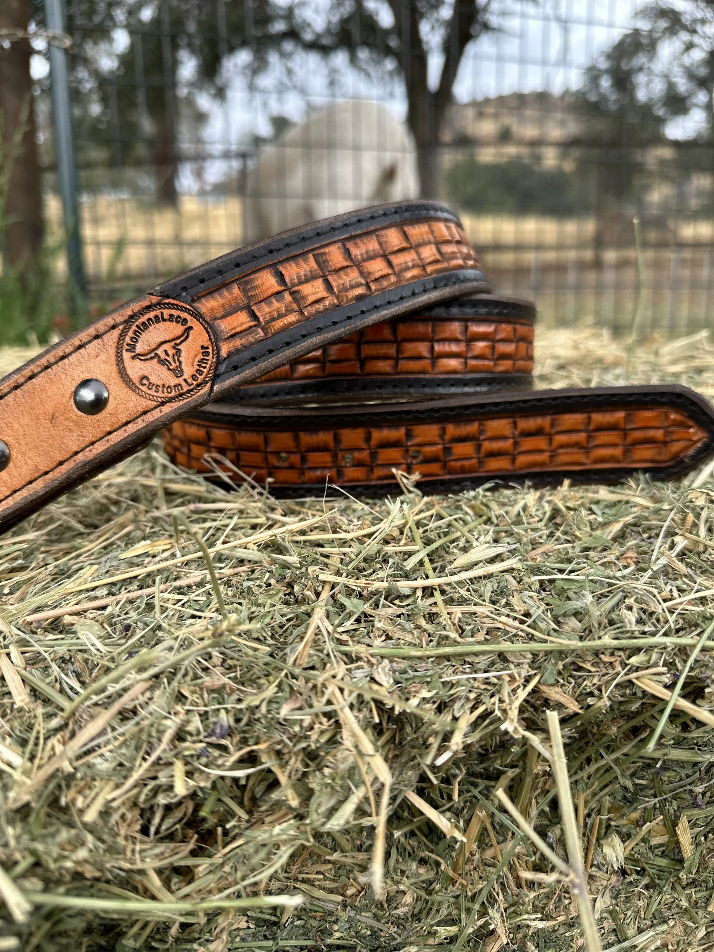 Close-up of a leather dog collar on the ground, with a background of wire fencing and a blurred white dog behind it, in an outdoor setting with dry grass.