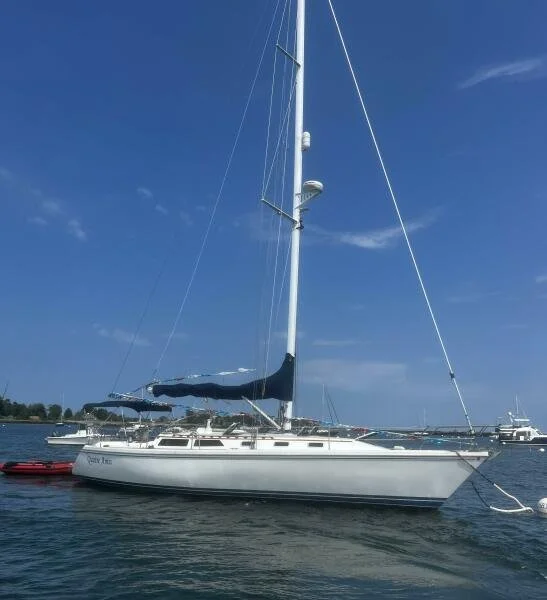 White sailboat with a black sail cover docked at a marina on a clear day with blue sky and calm water.