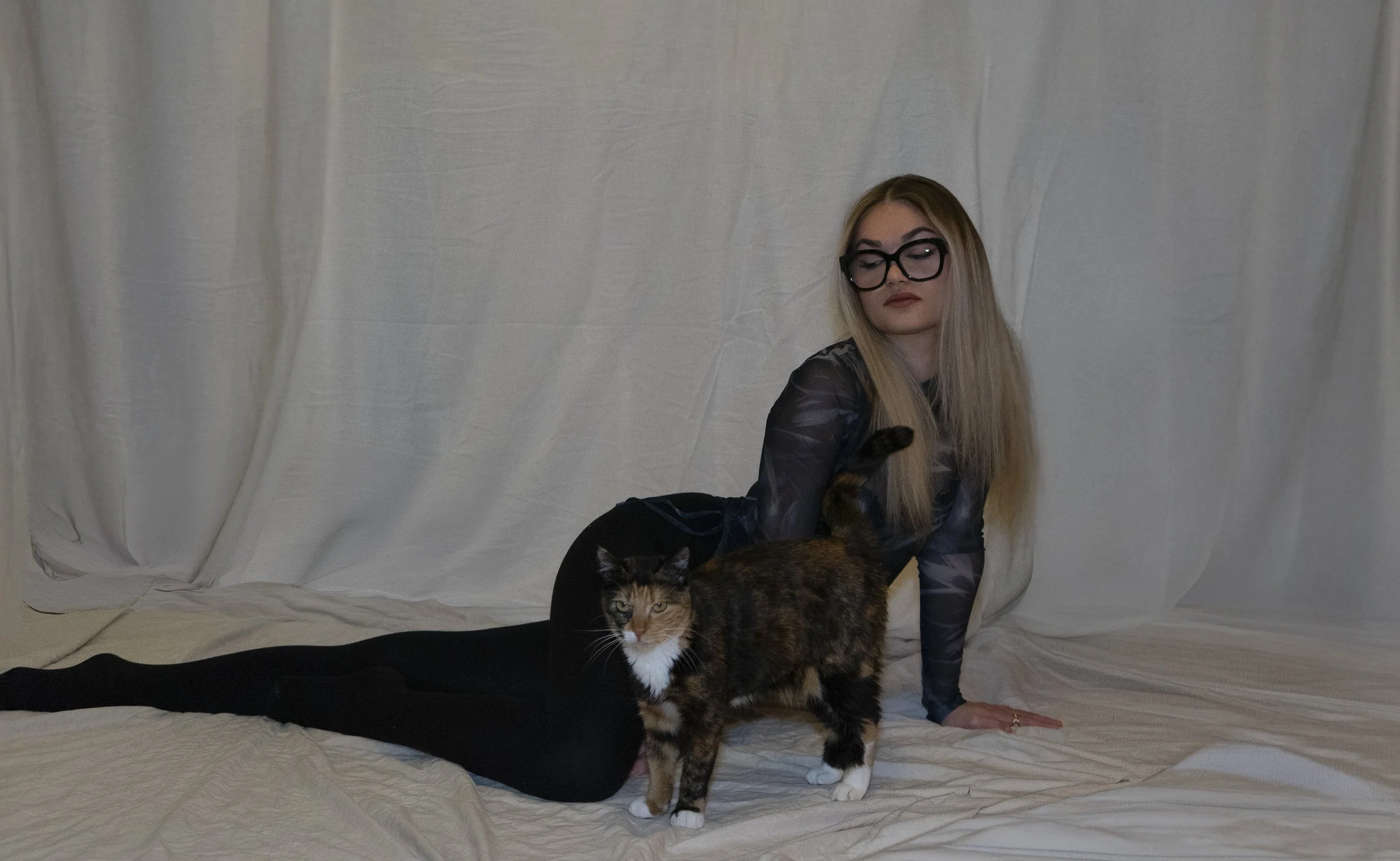 Une femme blonde portant des lunettes noires, vêtue d'un haut en tissu transparent, allongée sur un lit avec une couverture blanche, avec deux chats, un tigré et un noir avec taches blanches, posés devant elle.