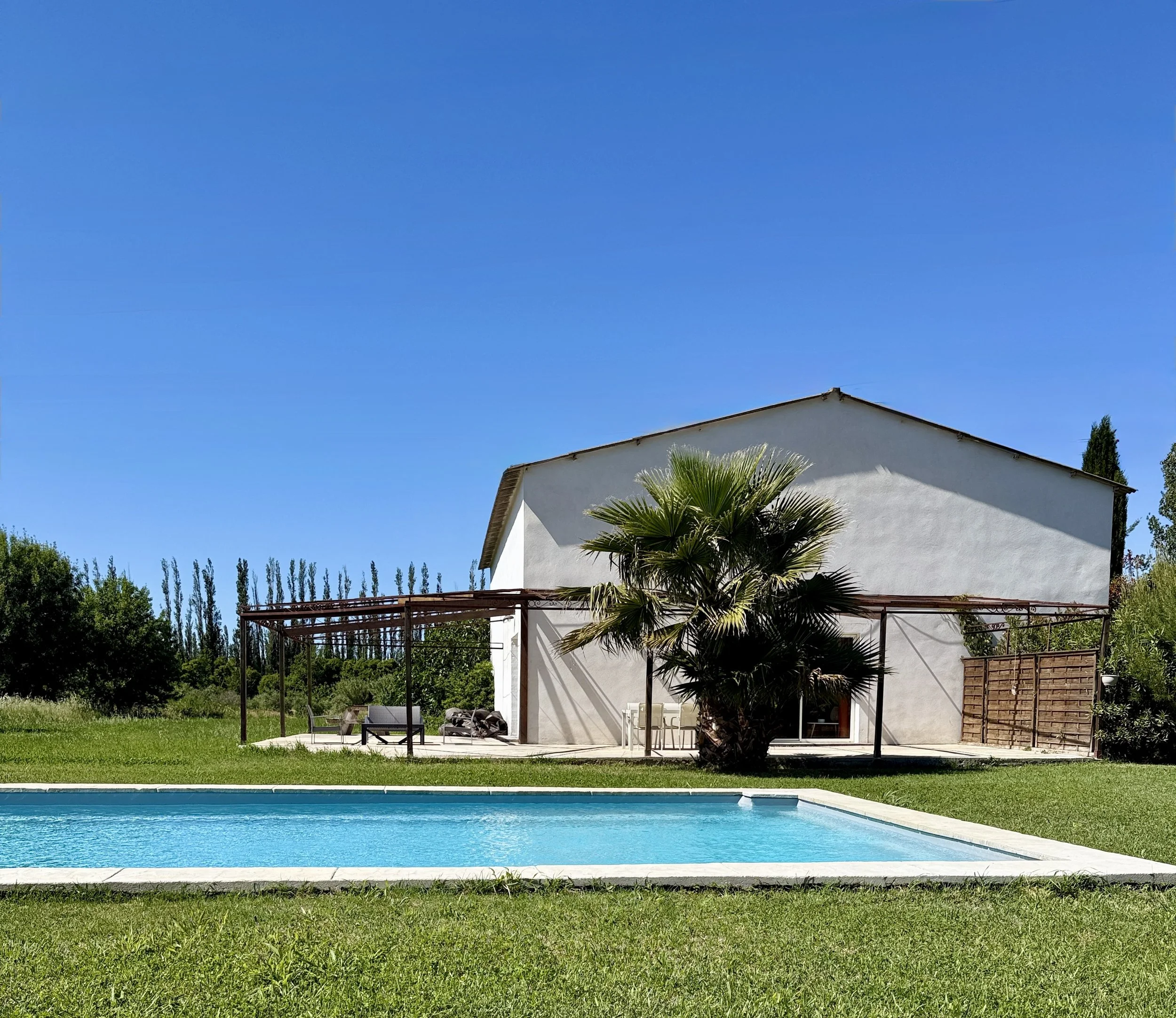 Une maison blanche avec une terrasse, une piscine en avant-plan, un palmier au centre, et un ciel bleu dégagé.