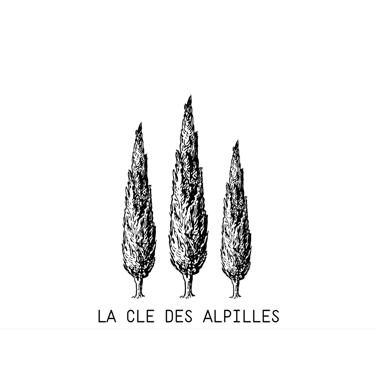 La Clé des Alpilles