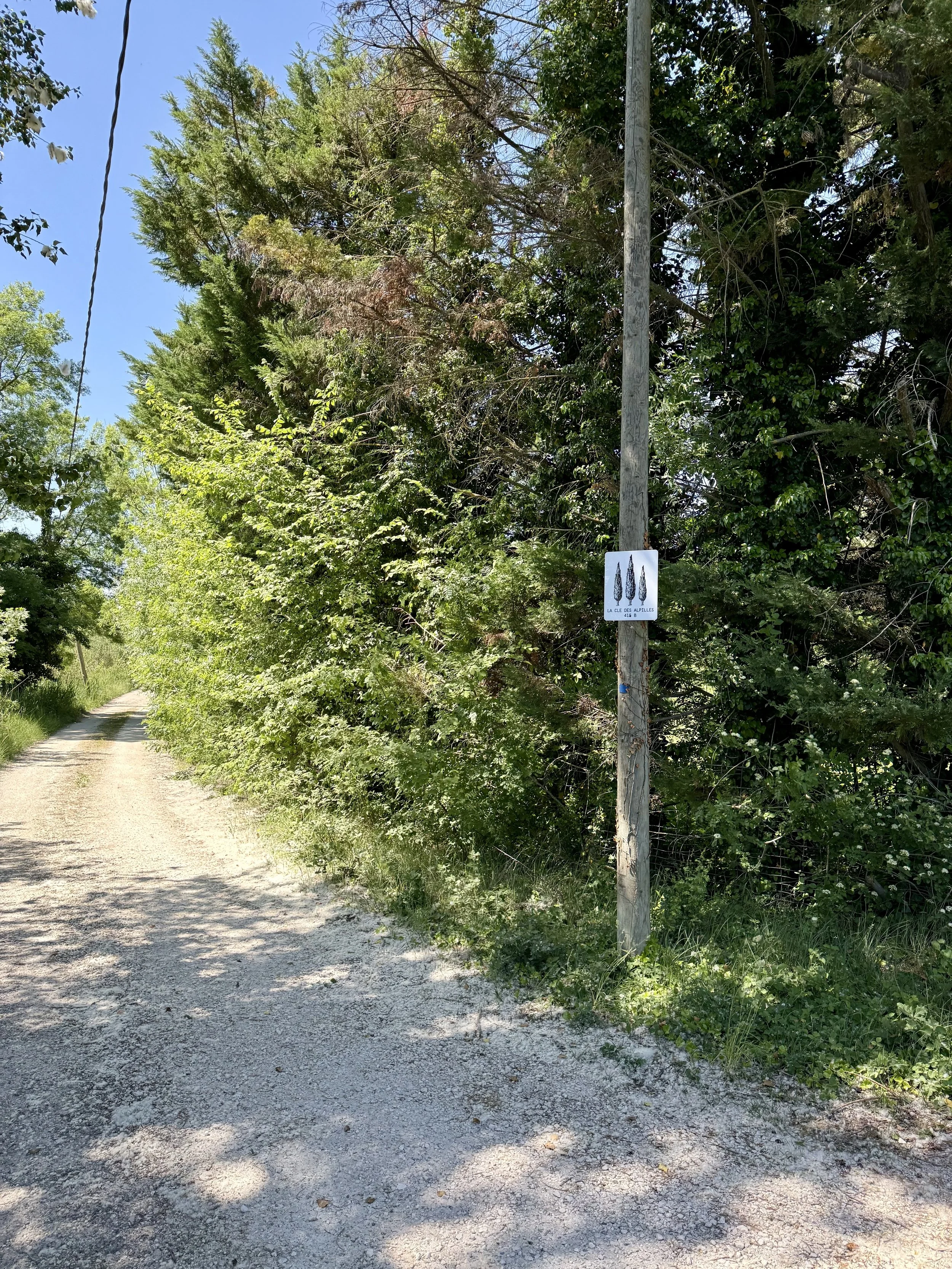 IMG_5258.jpeg