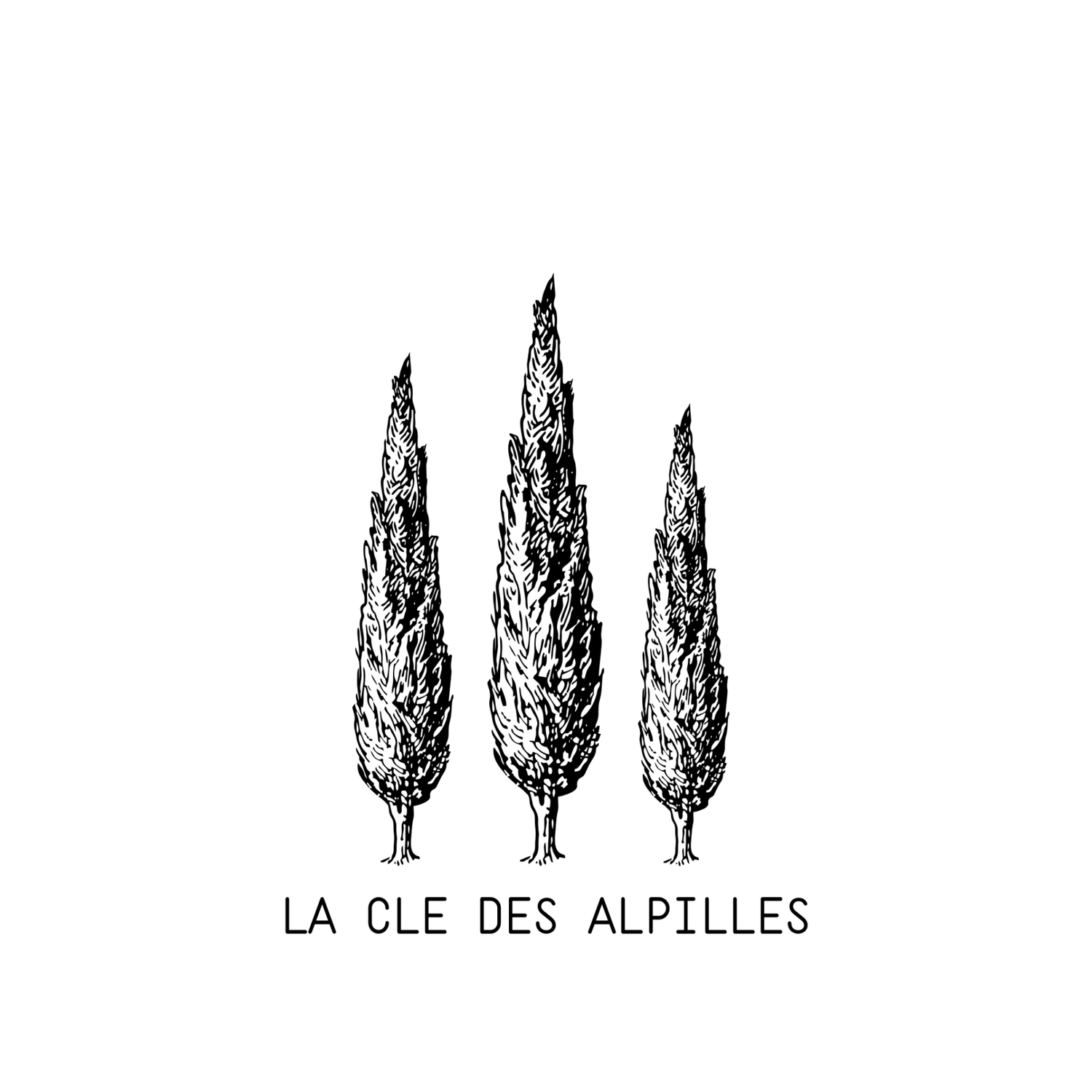La Clé des Alpilles