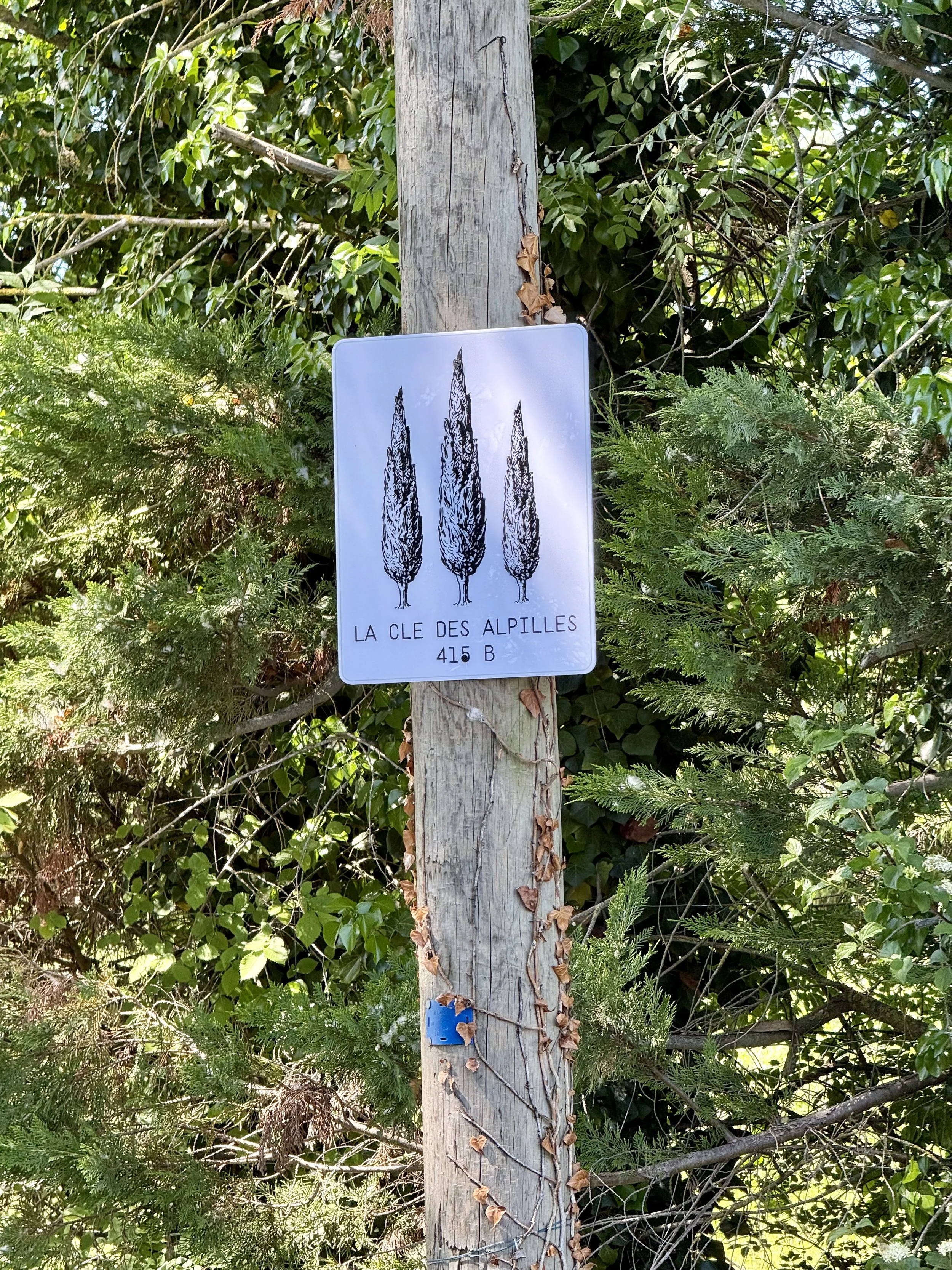 IMG_5257.jpeg