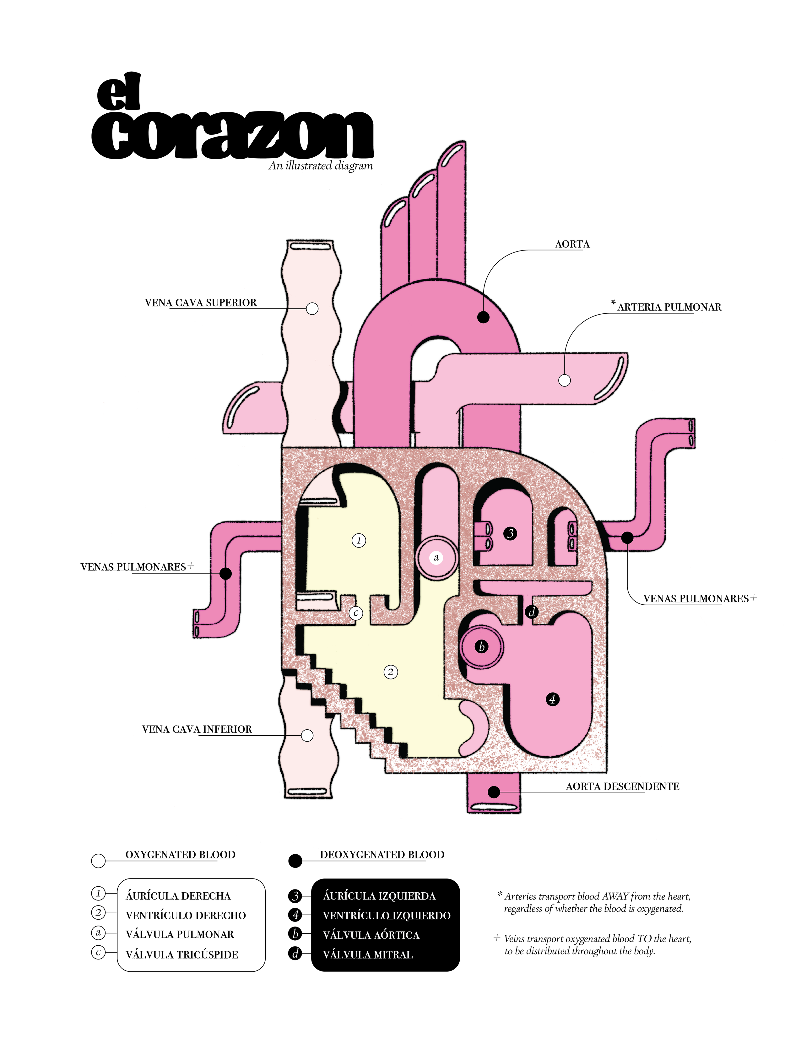El Corazon Poster Design