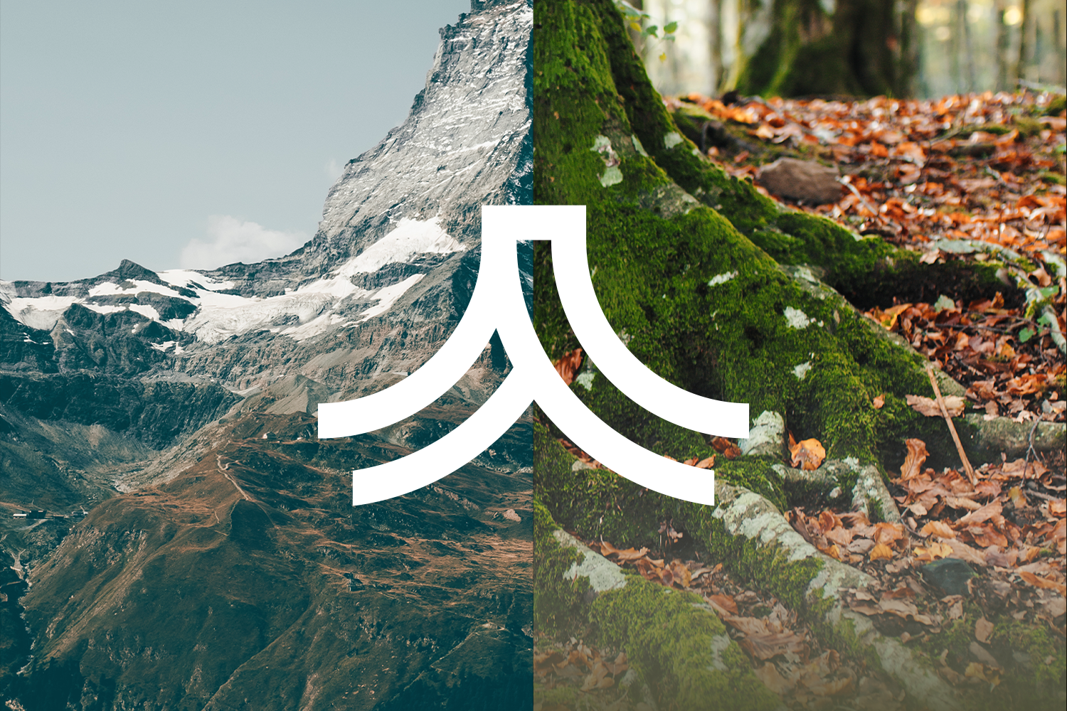 Summit & Root graphic design by Inflow Designs