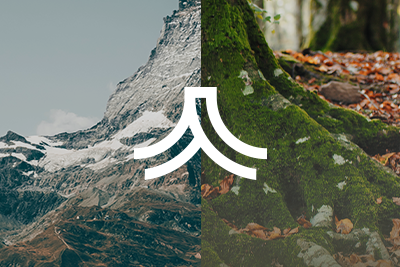 A split image of a mountain landscape and a forest floor with moss and fallen leaves.