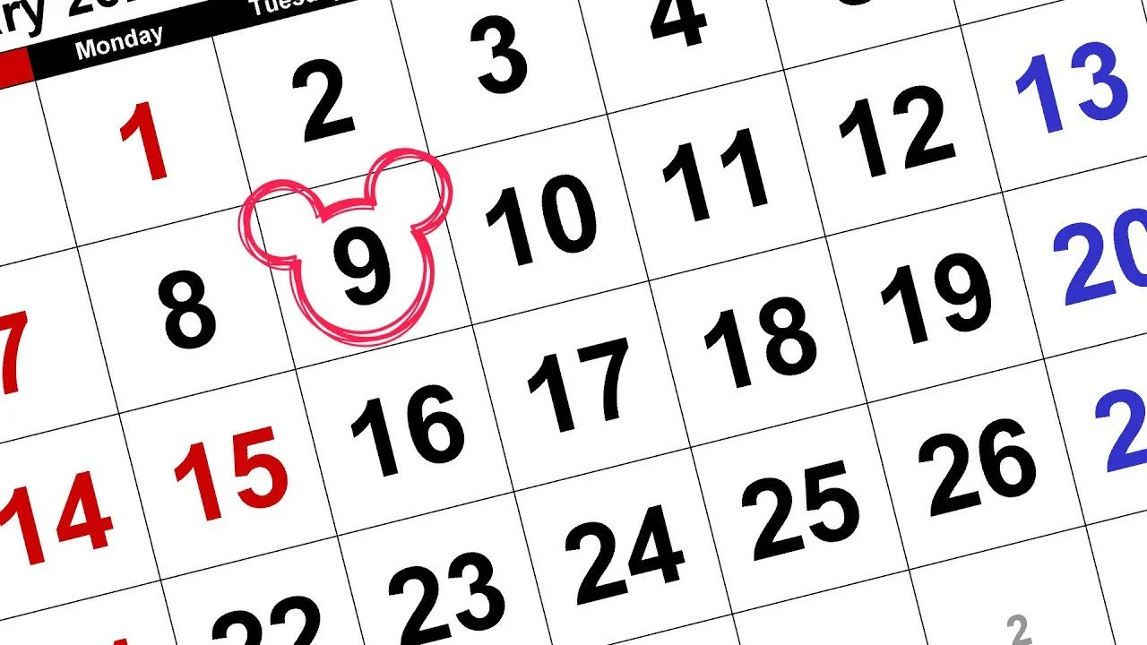 The Disney Dining Plan Returns + MORE WDW News