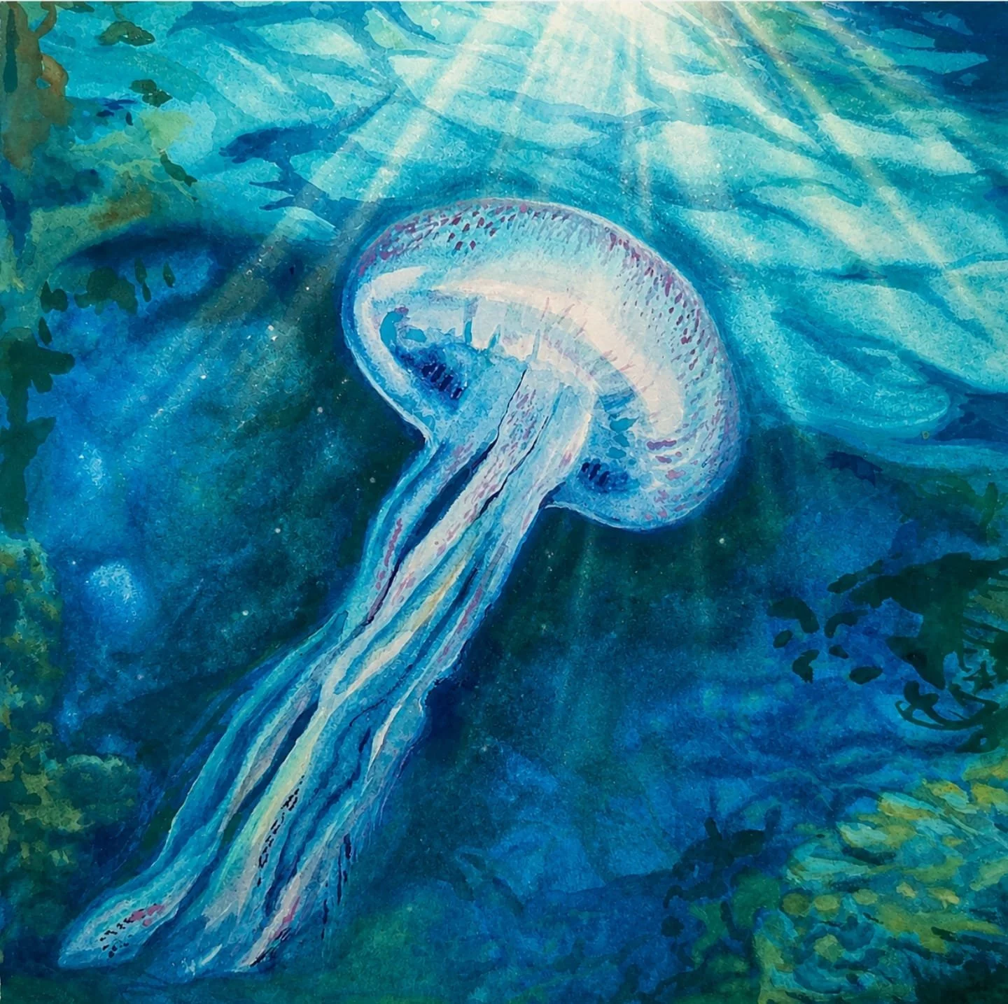 Meduse-lumiere.jpeg