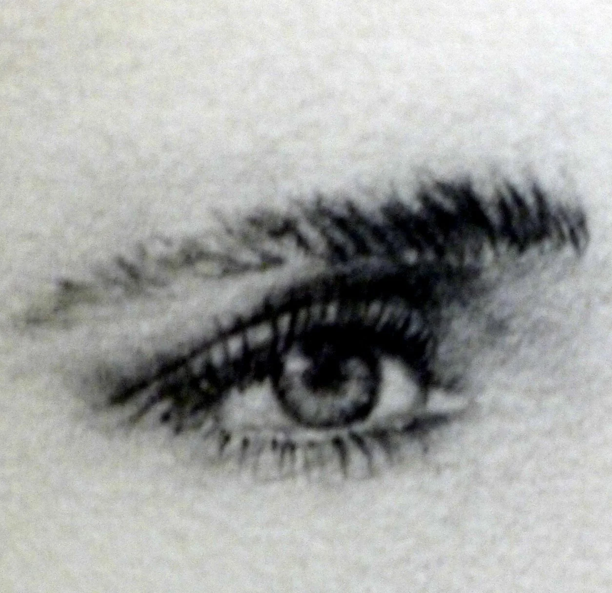 P1000032.png