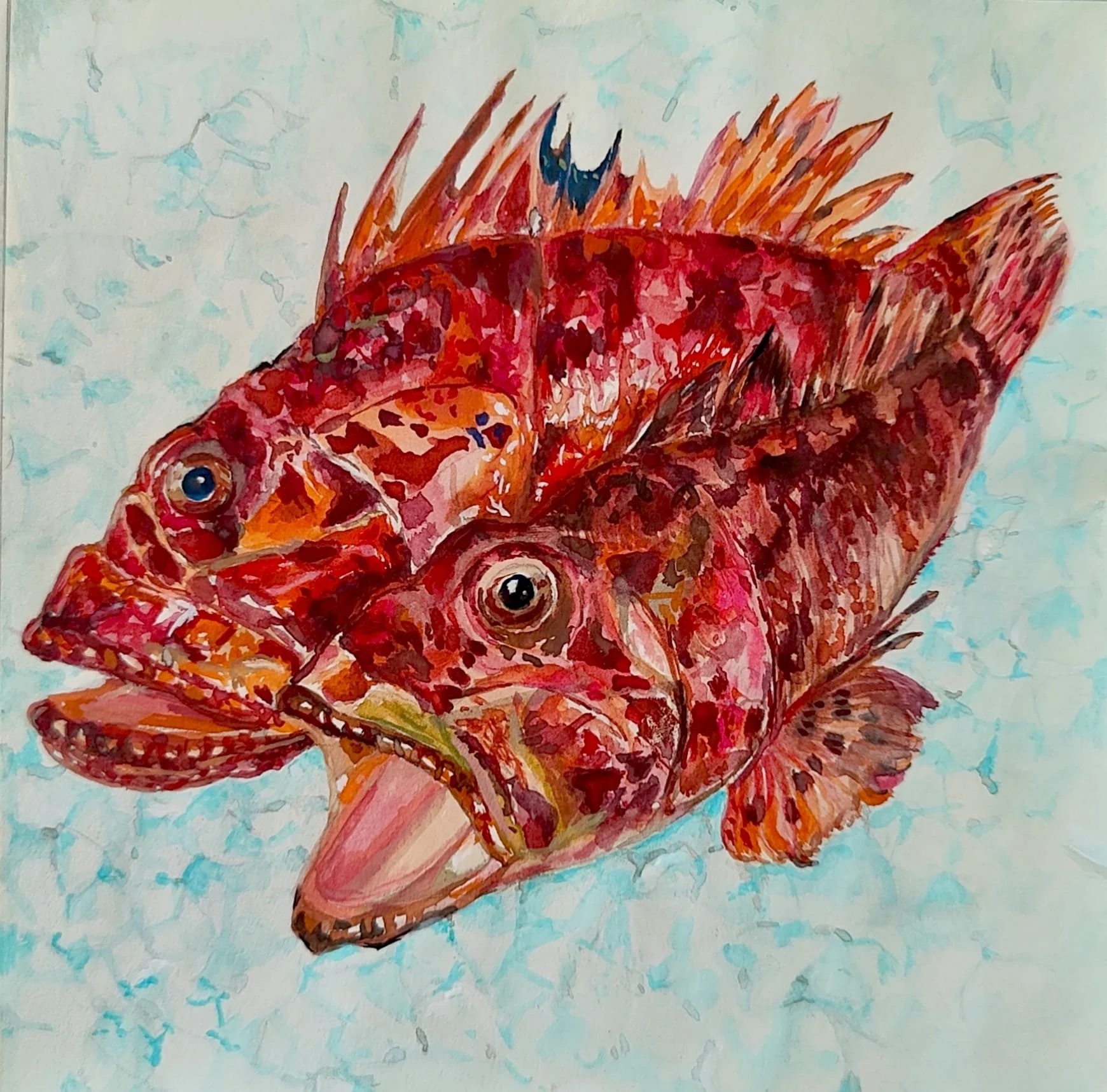 Les rascasses - Carnet de voyage 12/12, Aquarelle 15cm x 15cm sur papier 70g/m2, 2026
