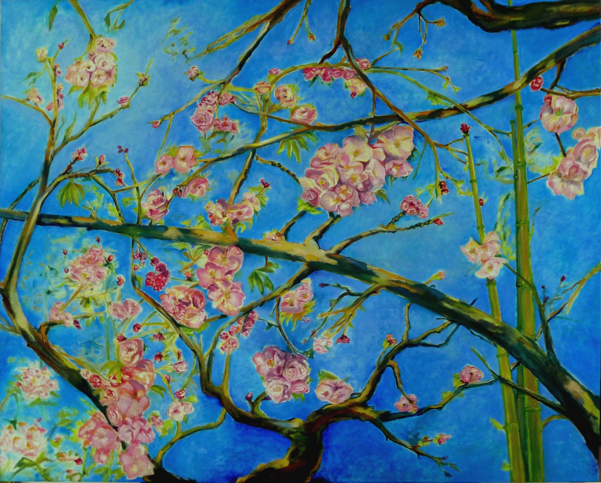 Pommier en fleurs