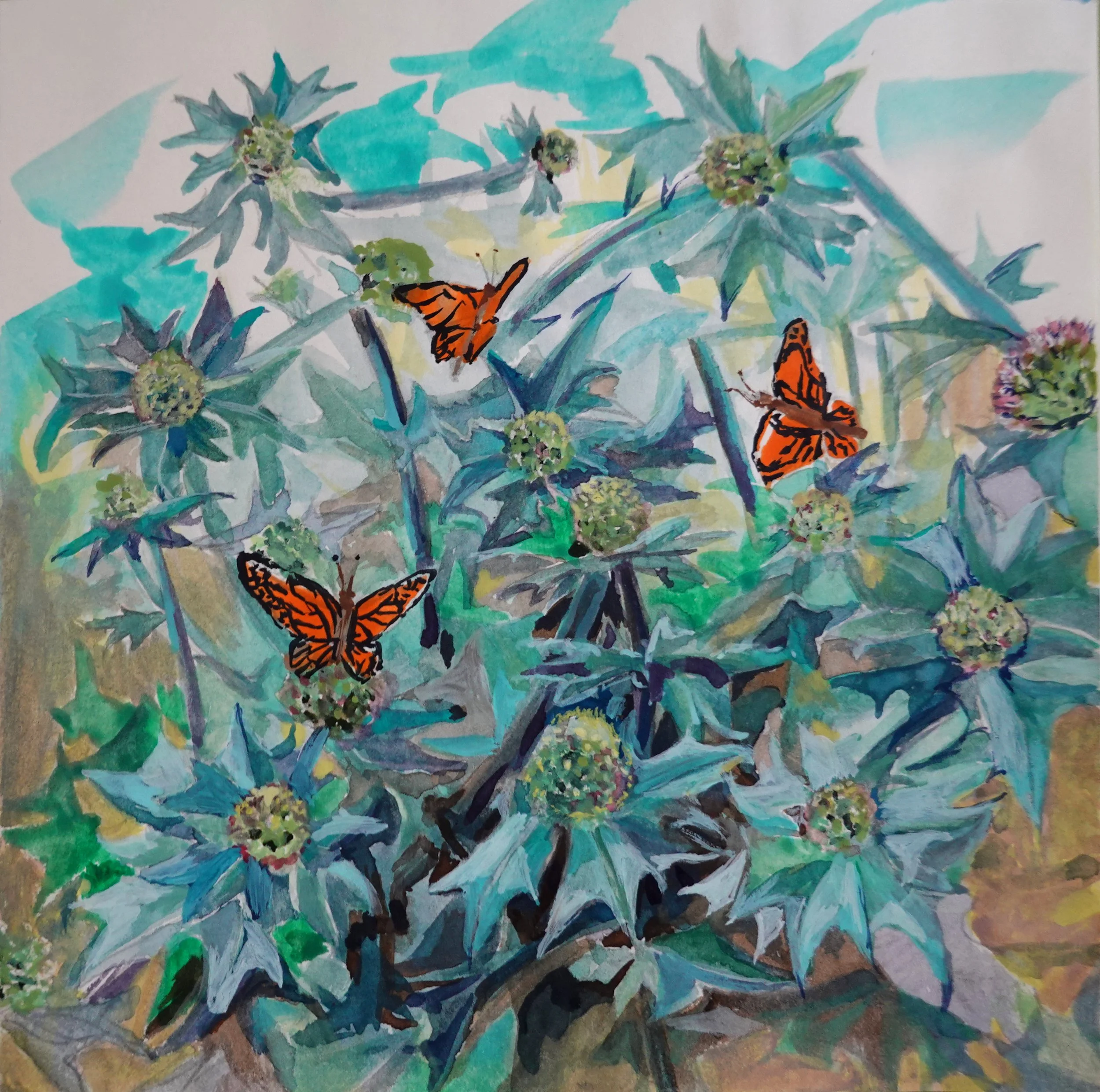 20260623-24_Panicaut-aux-papillons.JPG
