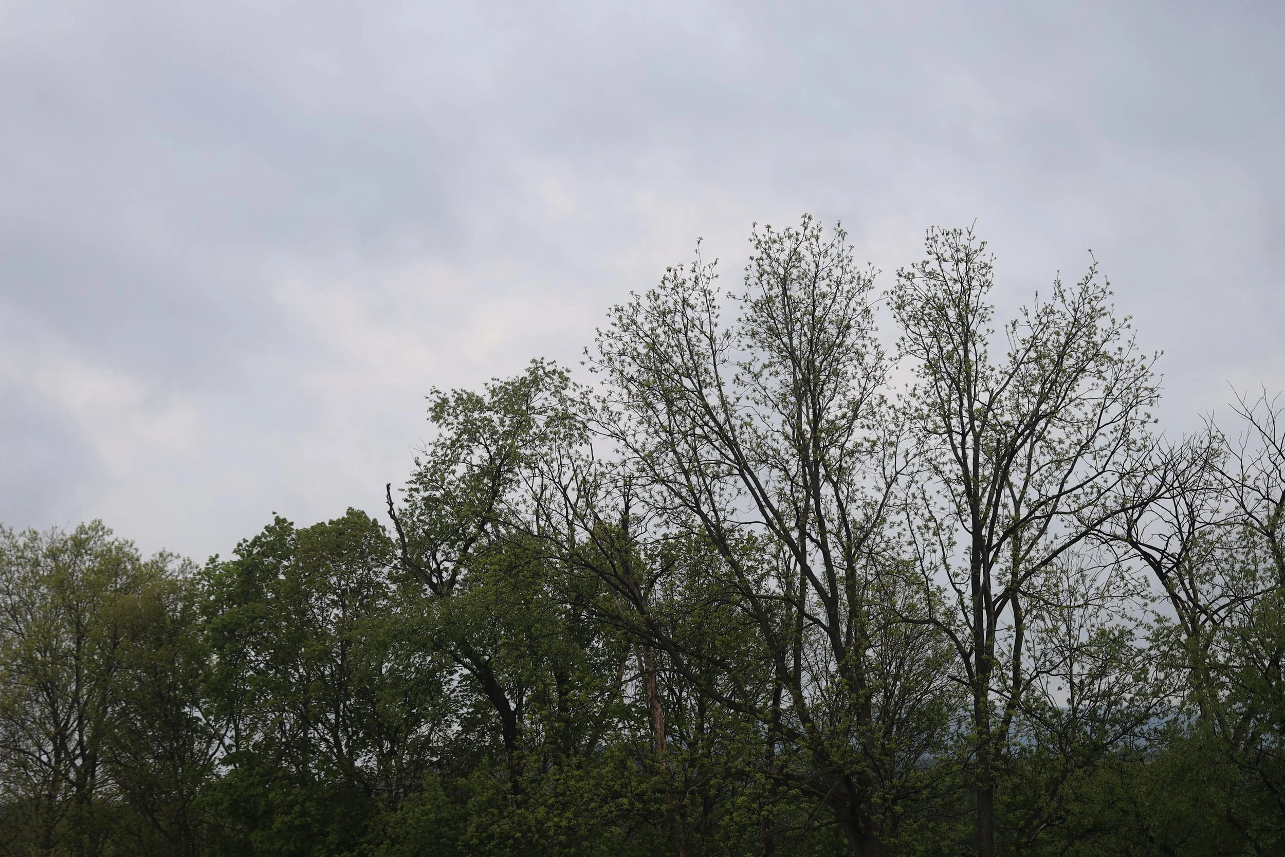 Springing Back To Life