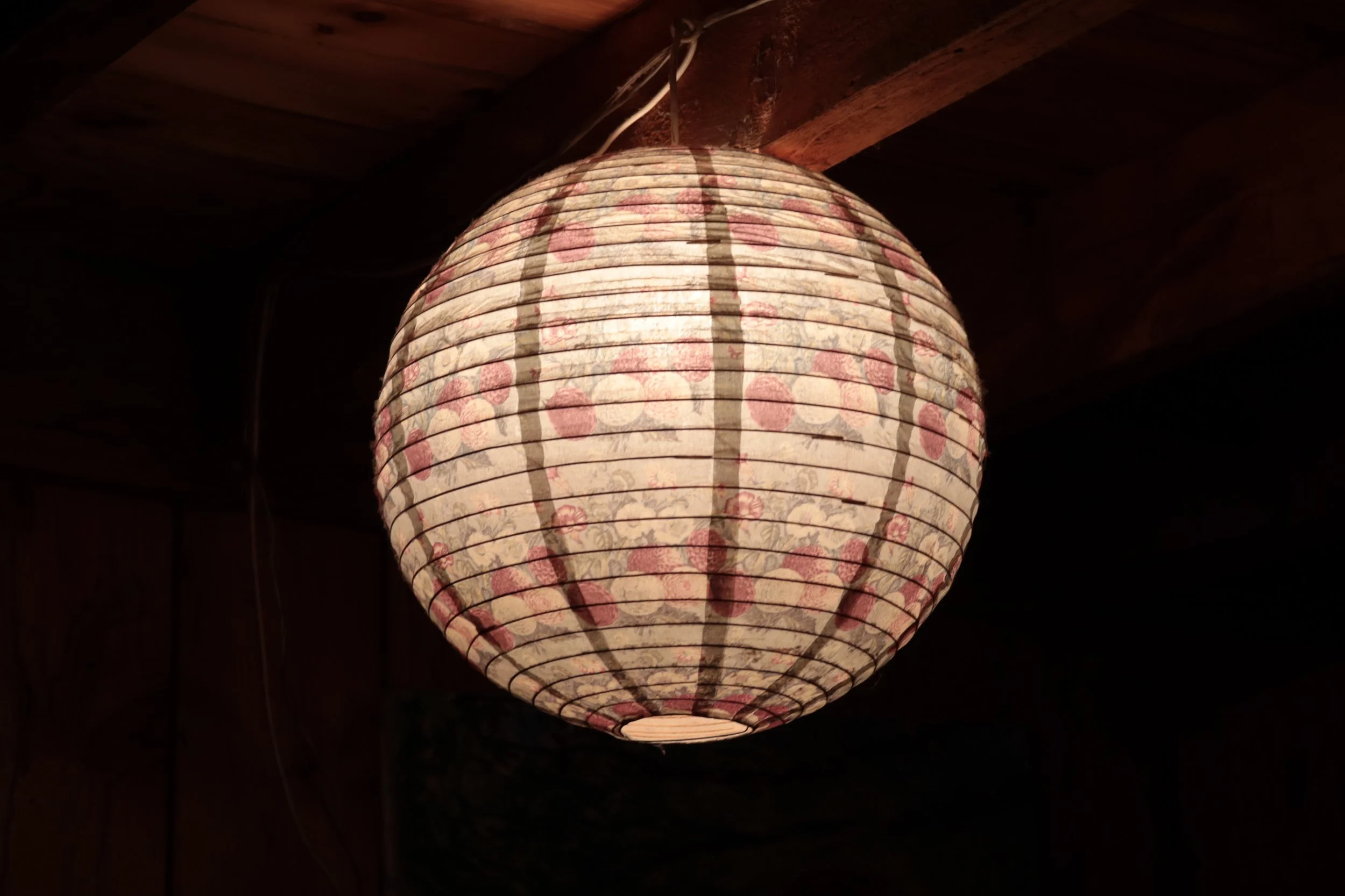Light In The Dark