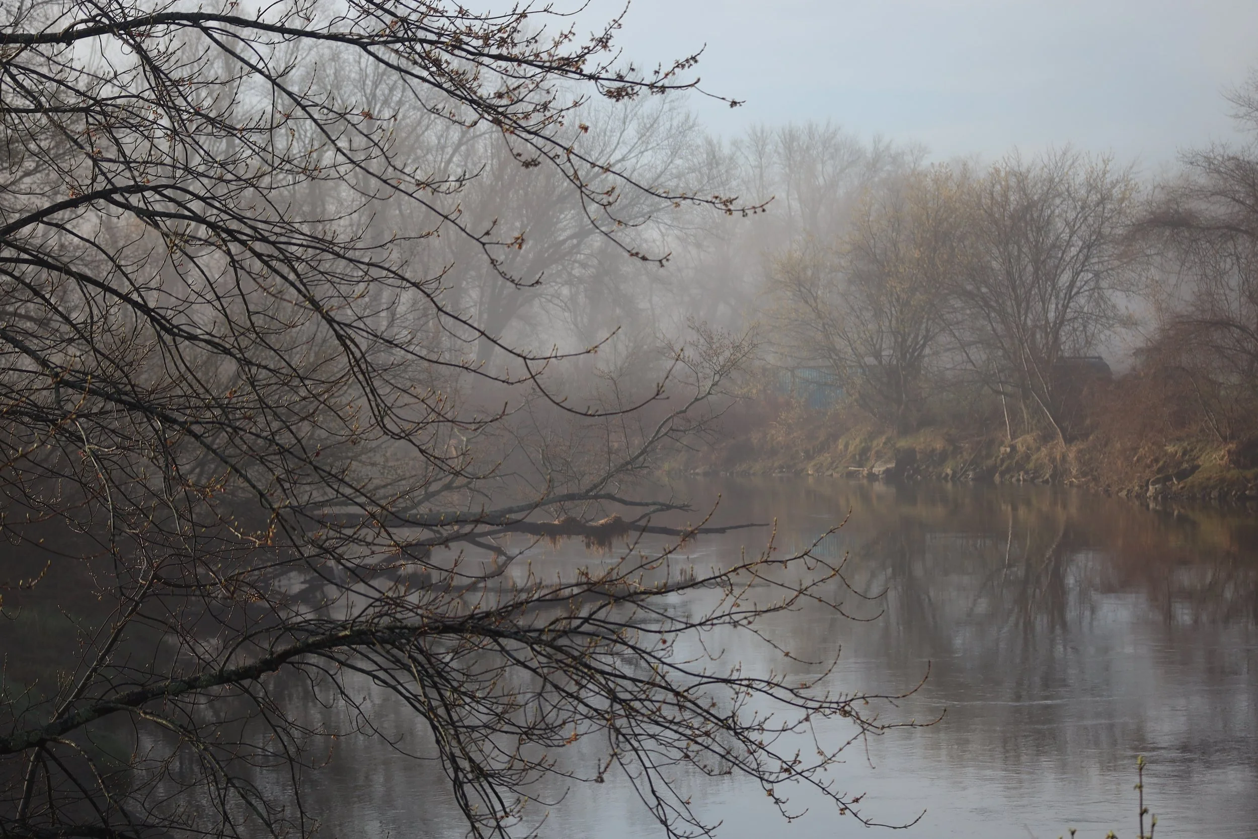 Foggy Housatonic