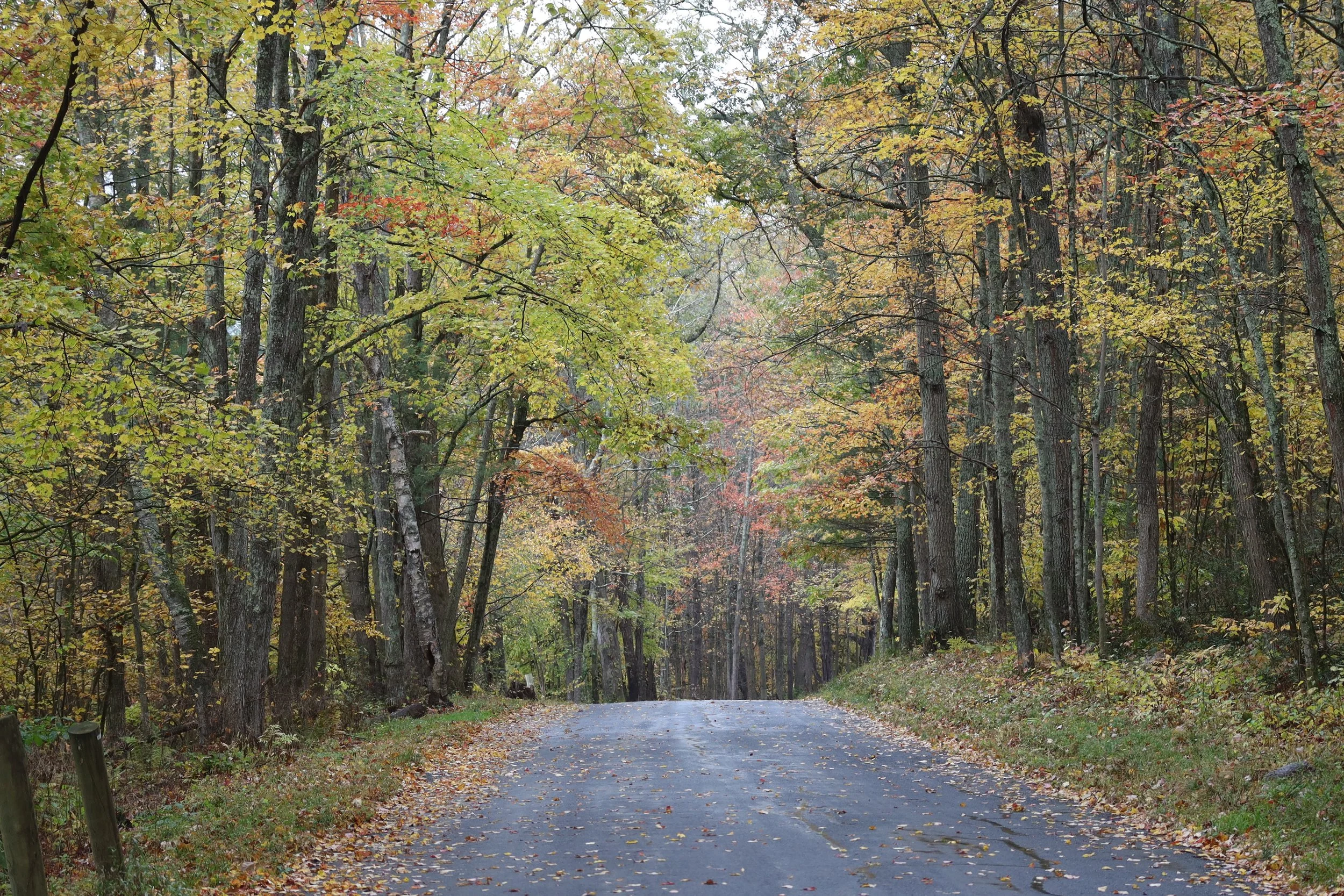Berkshire Fall