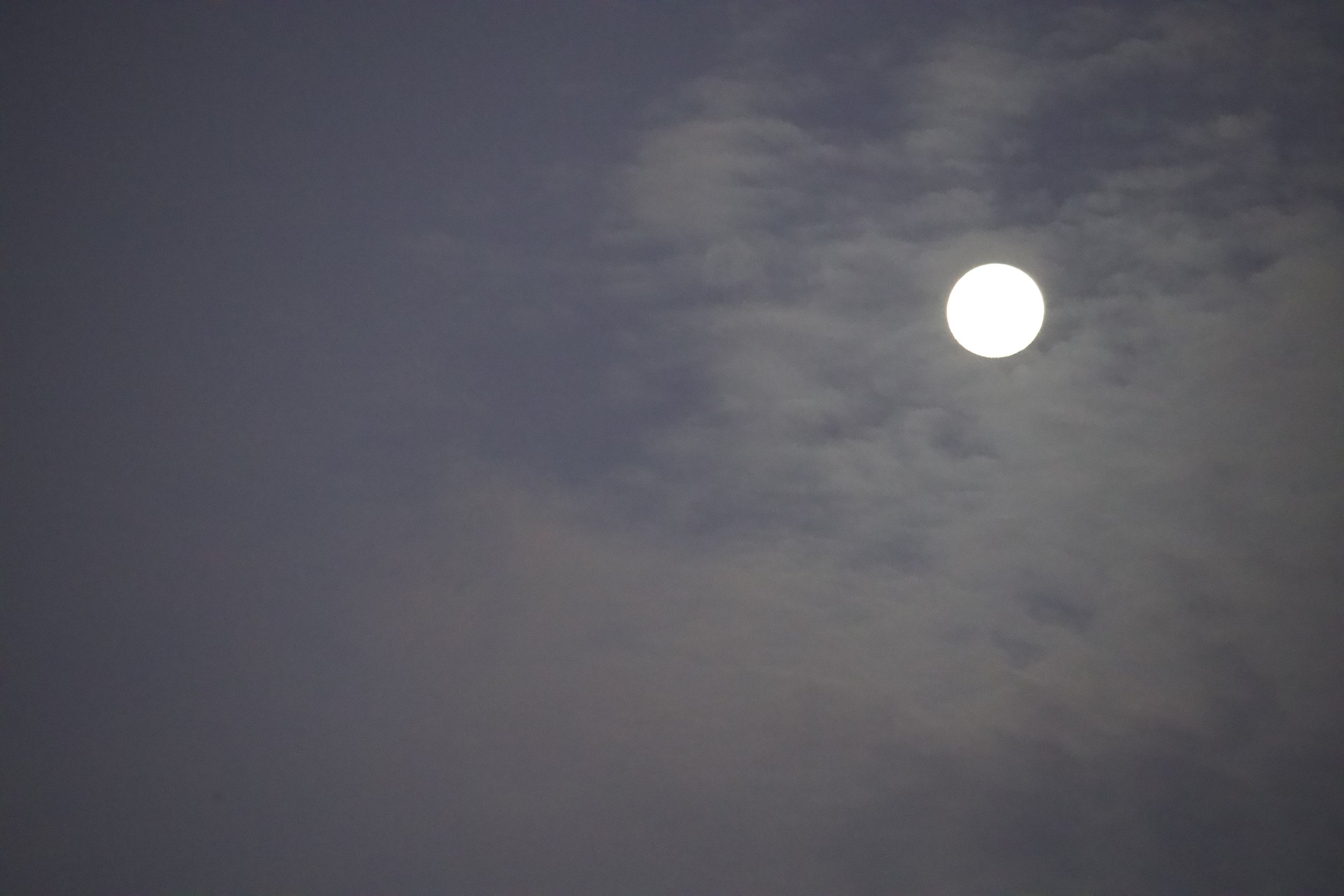 Moonglow